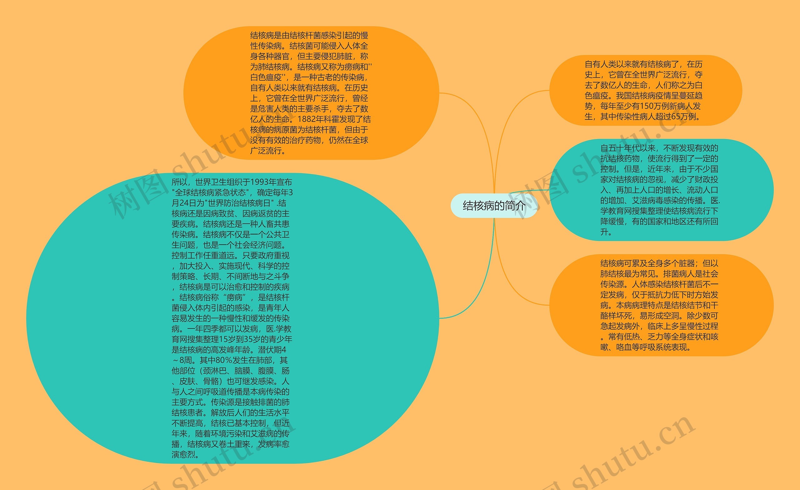 结核病的简介思维导图