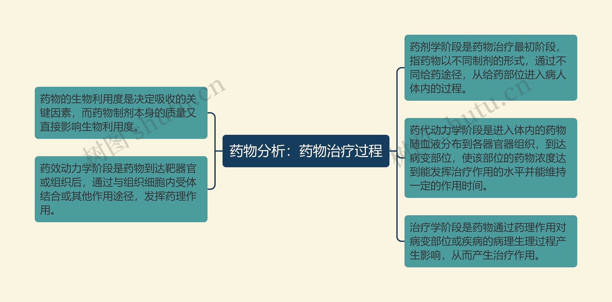 药物分析：药物治疗过程