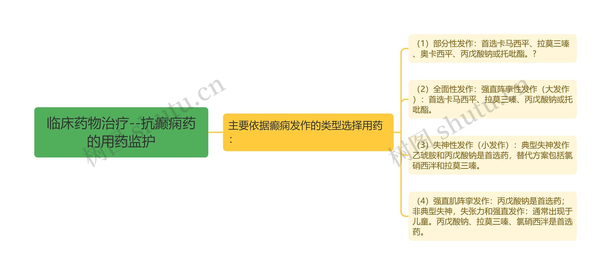 临床药物治疗--抗癫痫药的用药监护思维导图