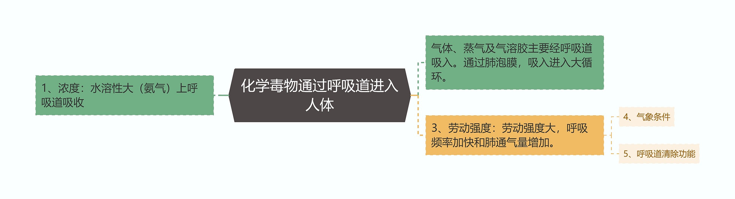 化学毒物通过呼吸道进入人体思维导图