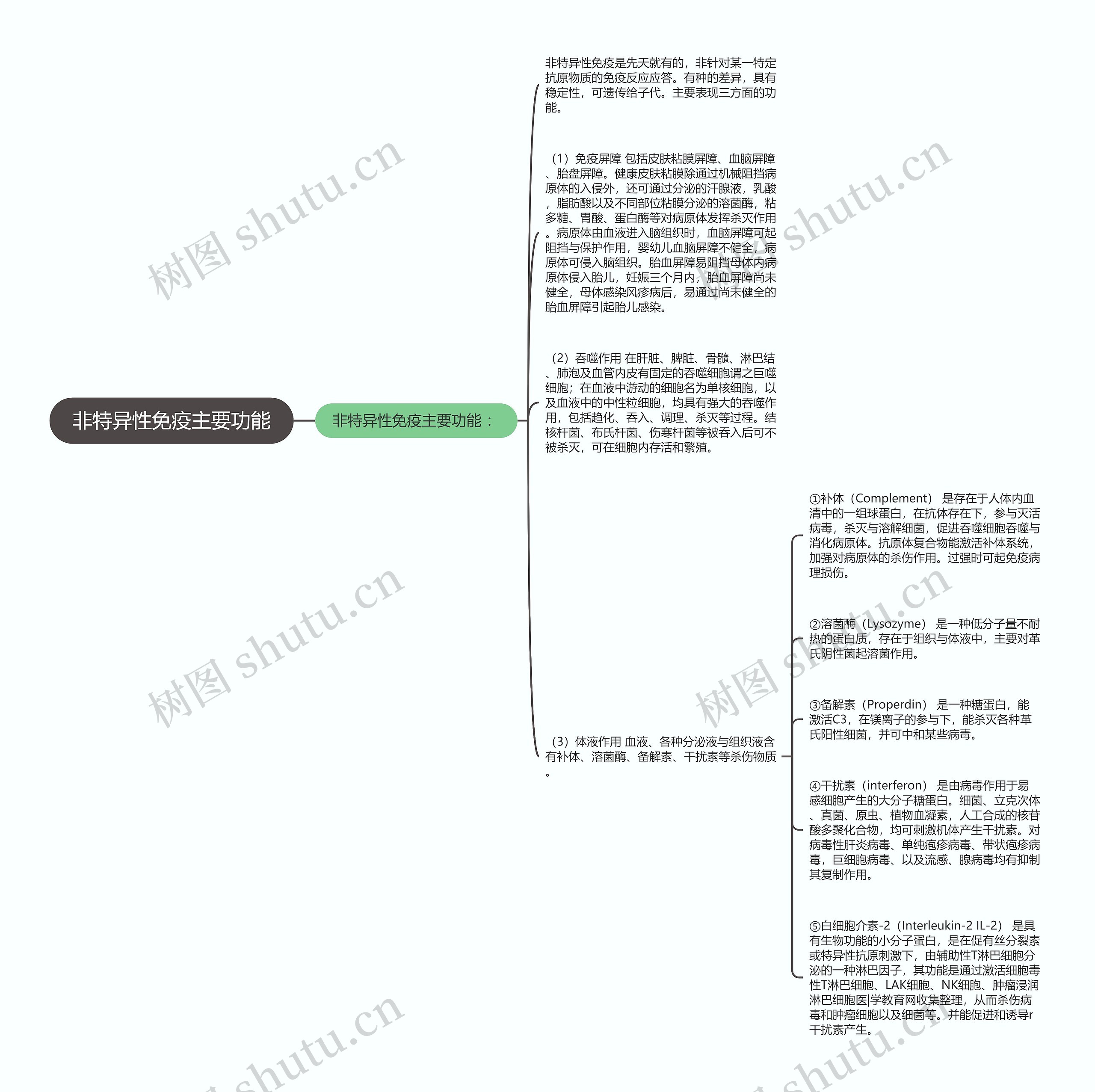 非特异性免疫主要功能思维导图