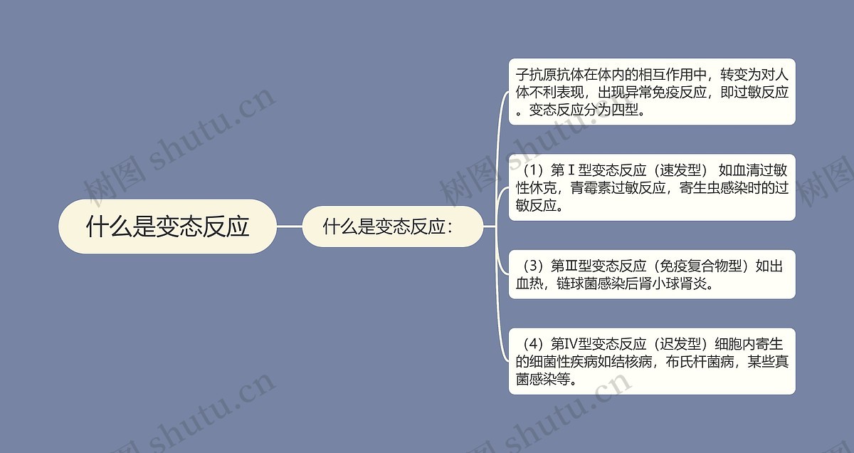 什么是变态反应思维导图_编号p7227617-TreeMind树图