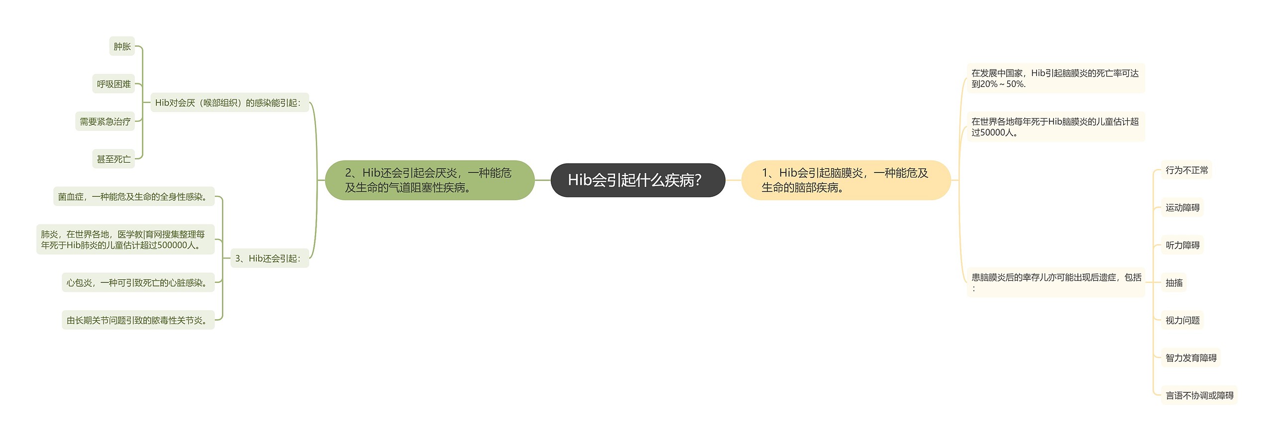 Hib会引起什么疾病？思维导图