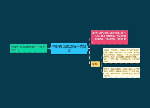 车前子的鉴别方法-中药鉴定