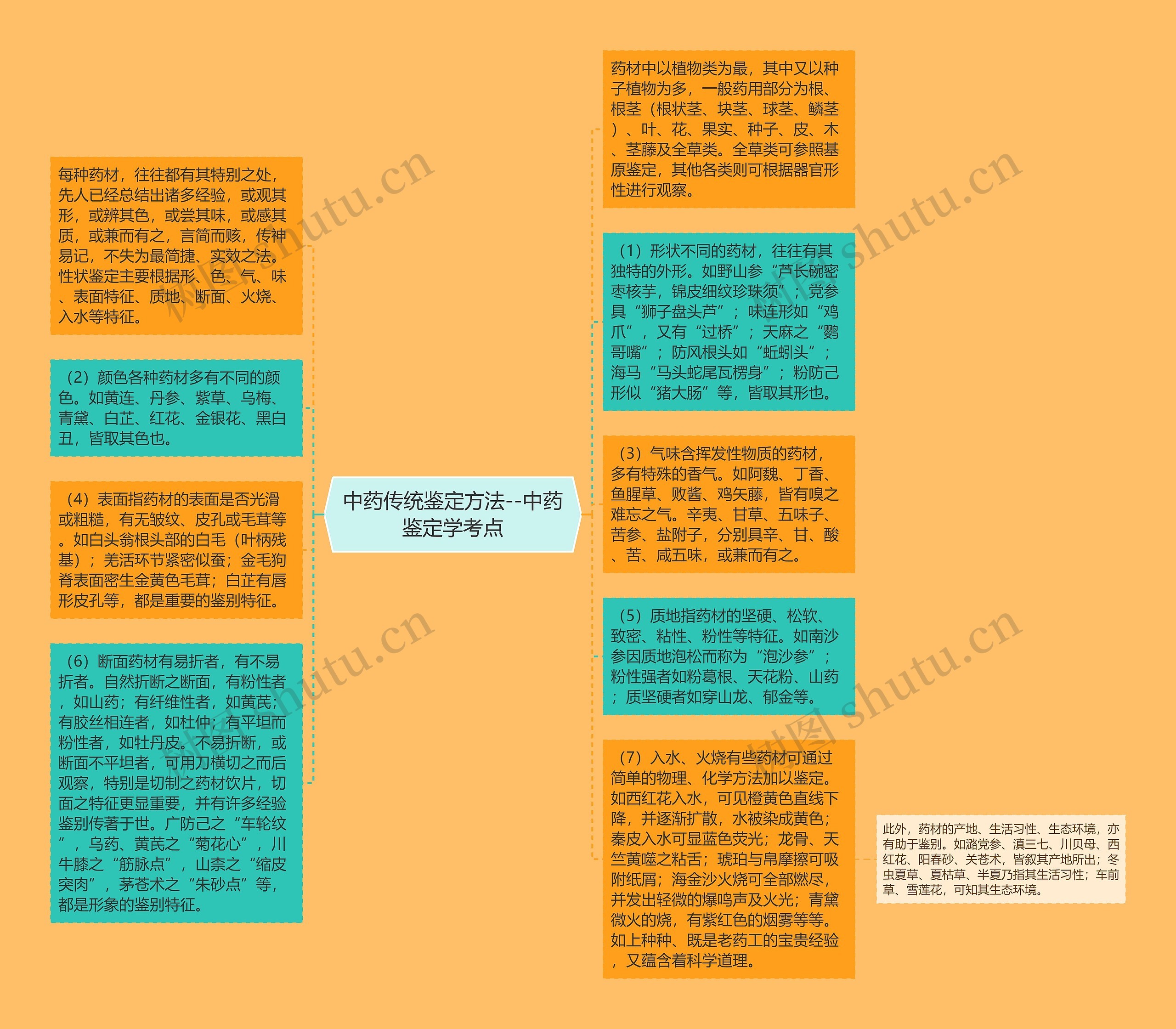 中药传统鉴定方法--中药鉴定学考点思维导图