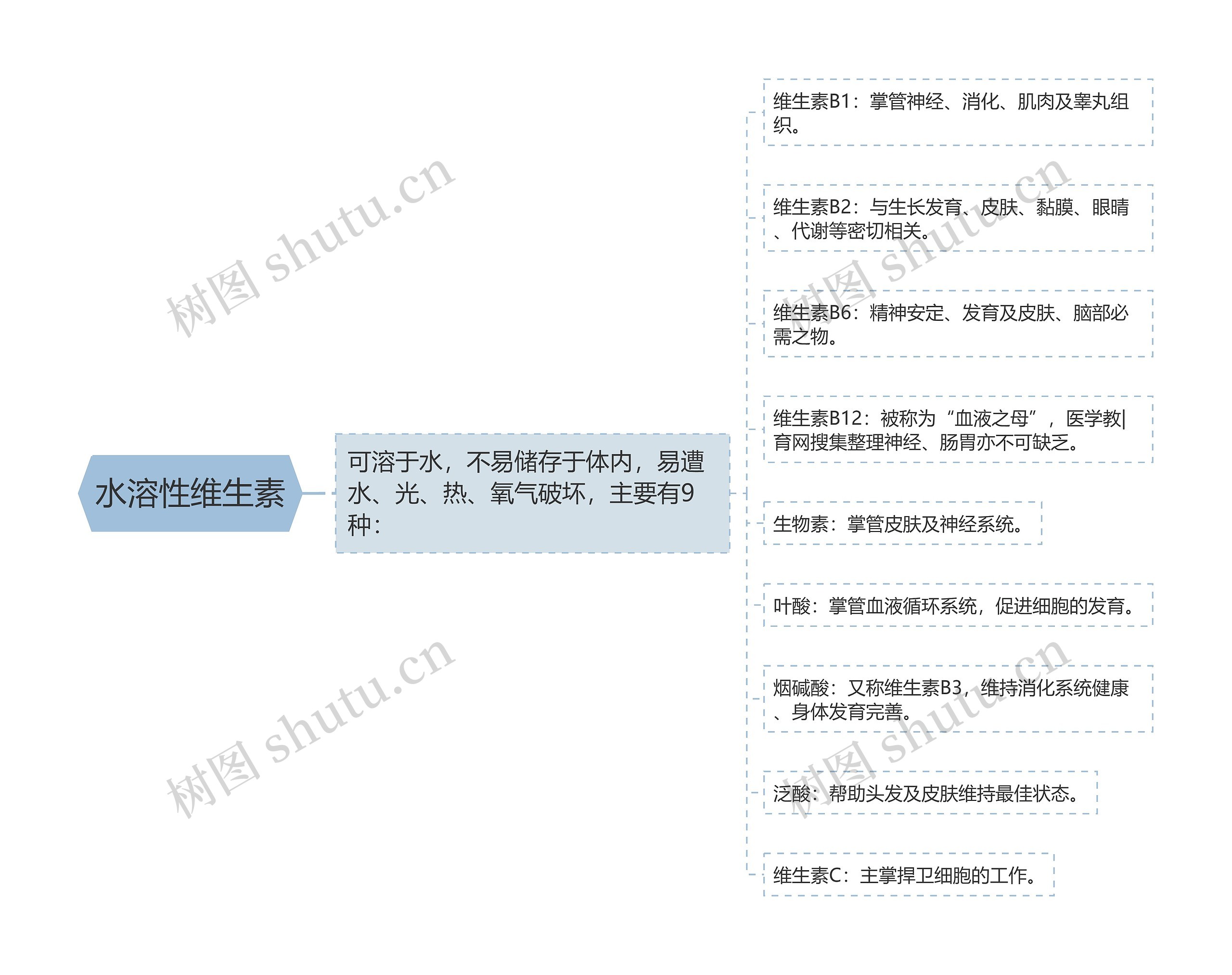 水溶性维生素思维导图