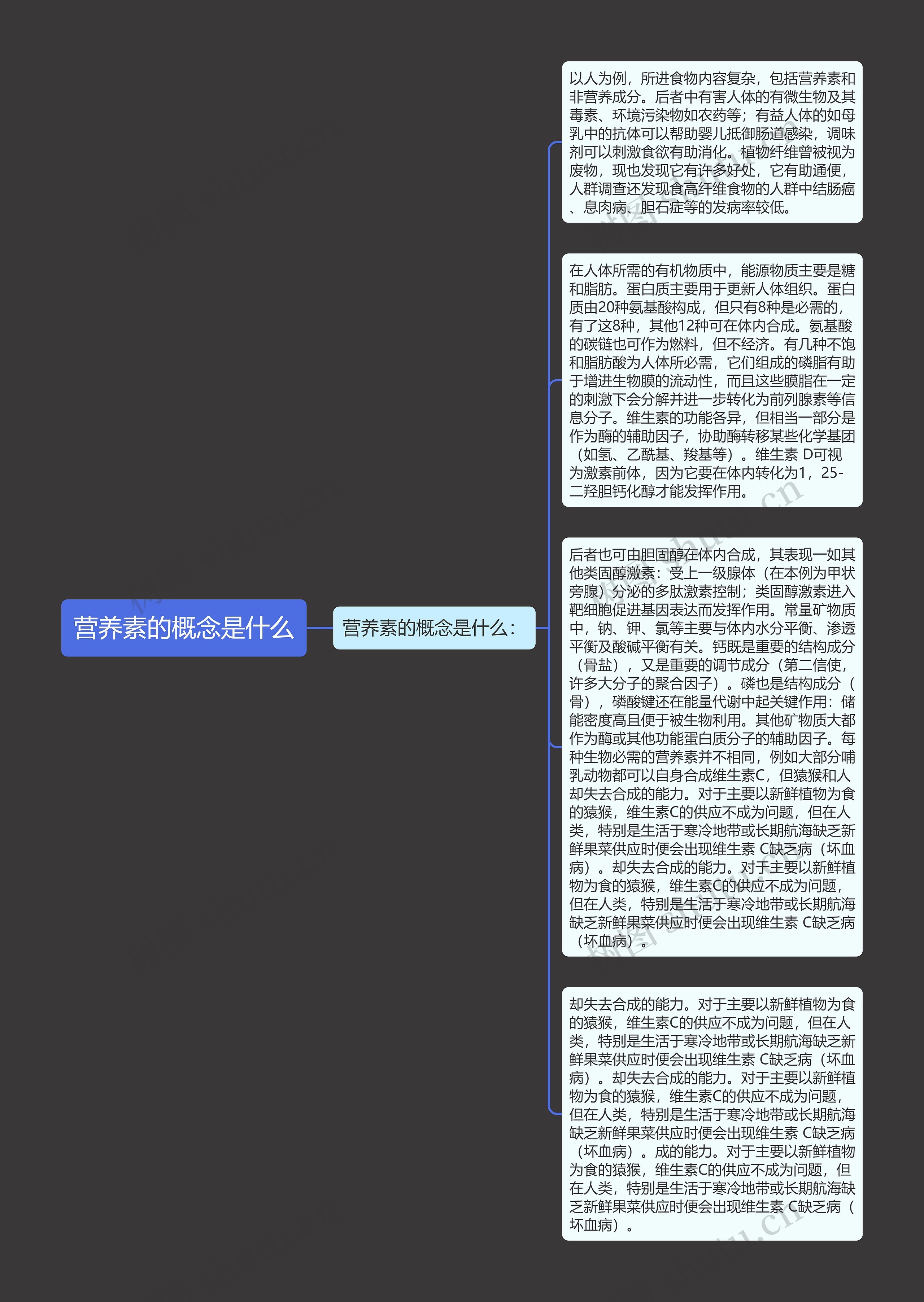 营养素的概念是什么