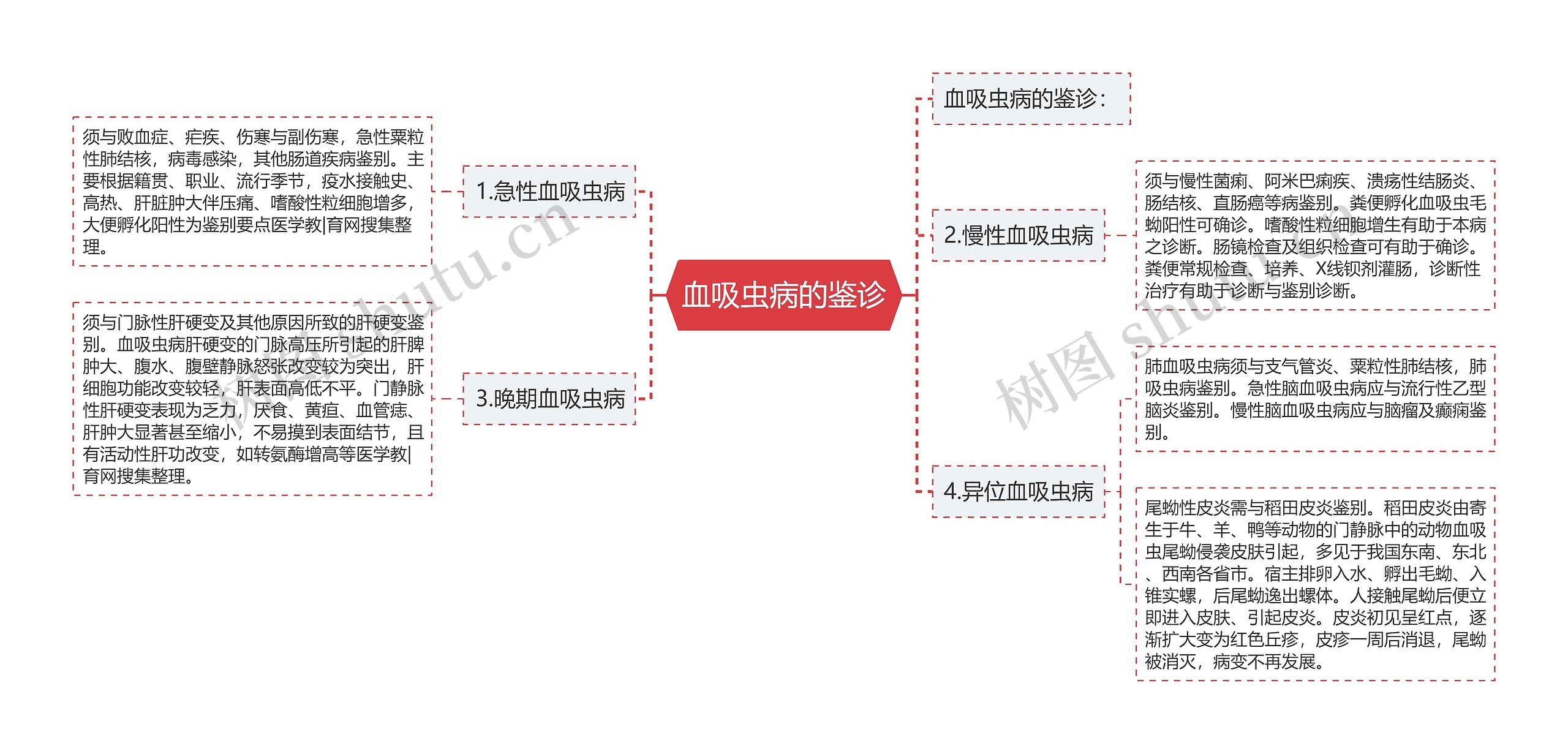 血吸虫病的鉴诊