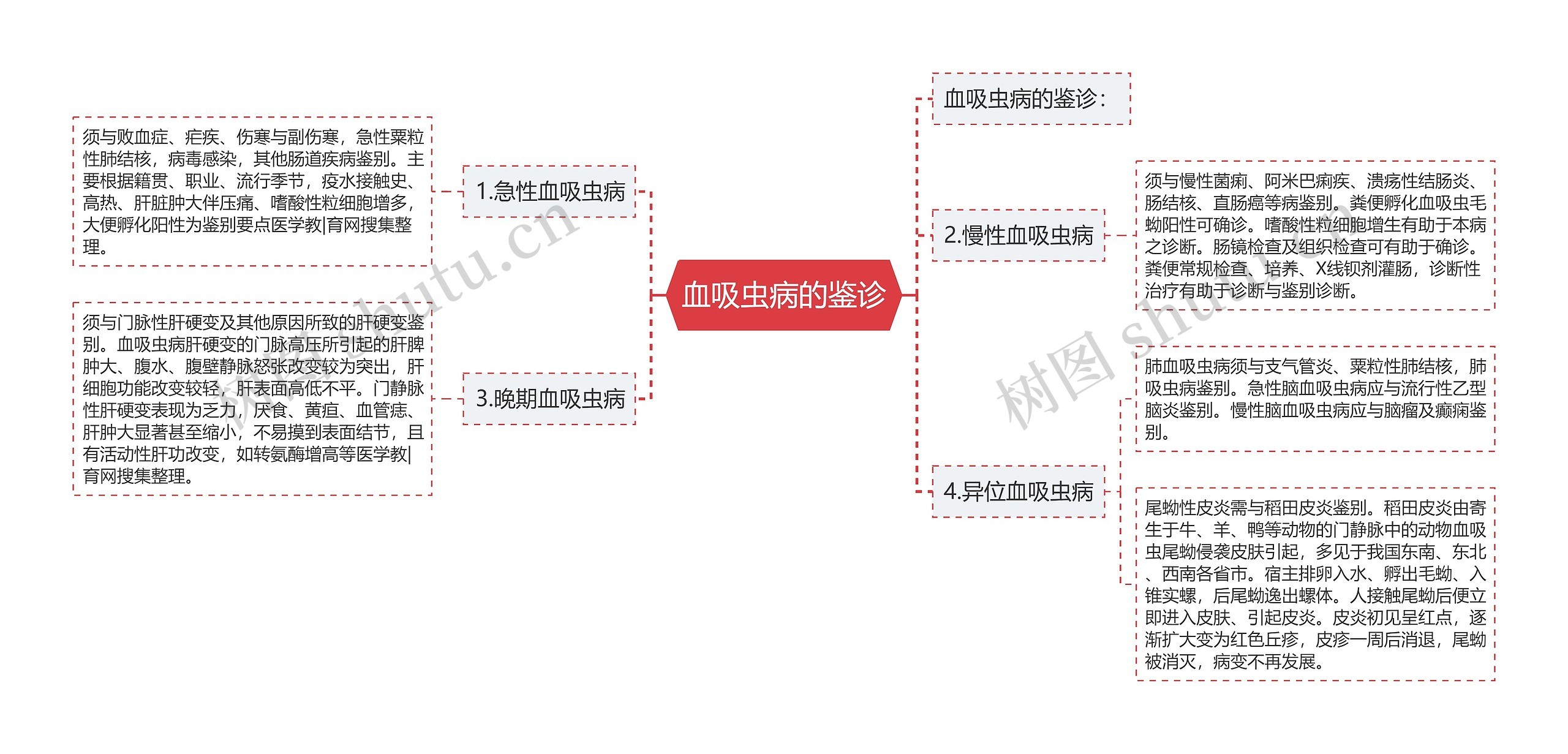 血吸虫病的鉴诊思维导图