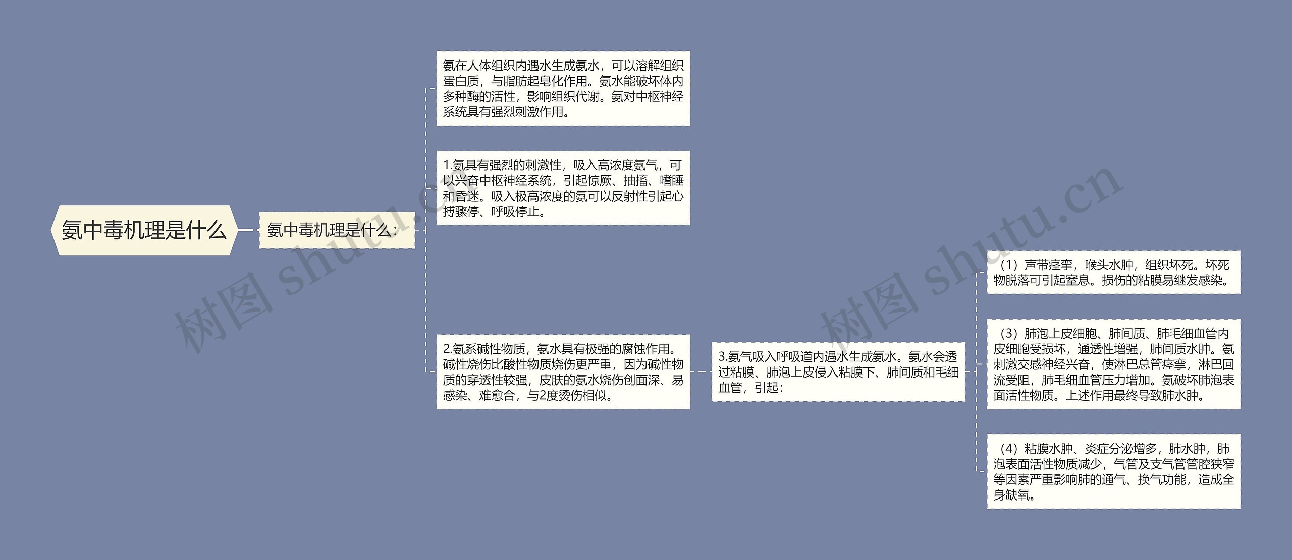 氨中毒机理是什么思维导图