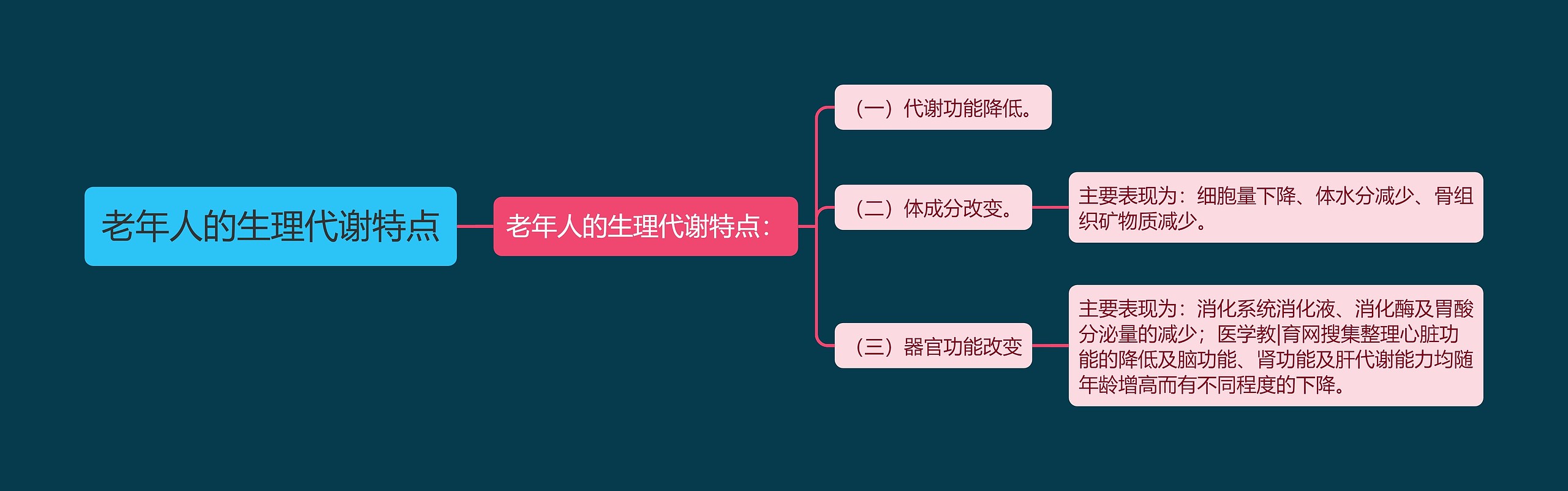 老年人的生理代谢特点思维导图