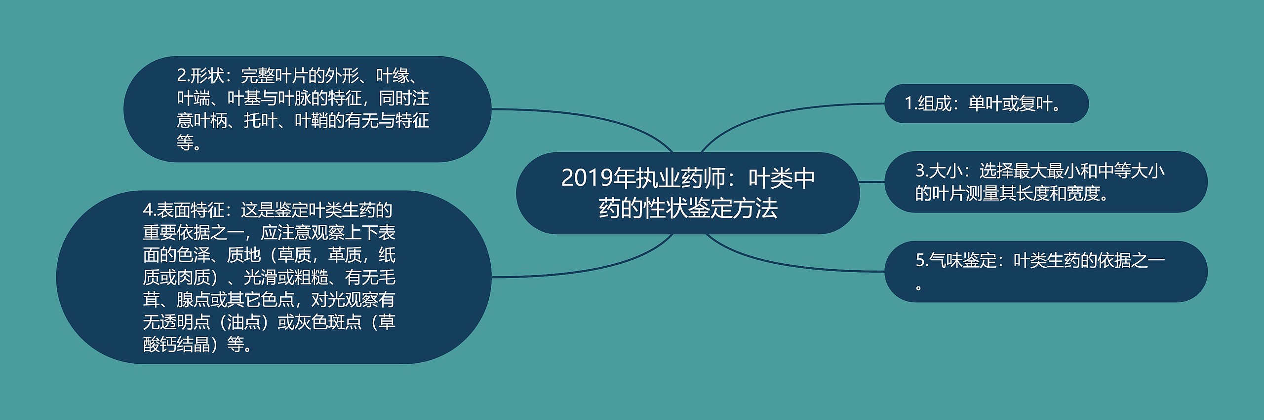 2019年执业药师：叶类中药的性状鉴定方法思维导图