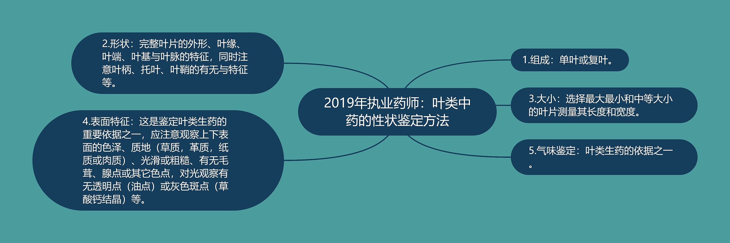 2019年执业药师:叶类中药的性状鉴定方法 2019年执业药师:叶类中药的性状鉴定方法