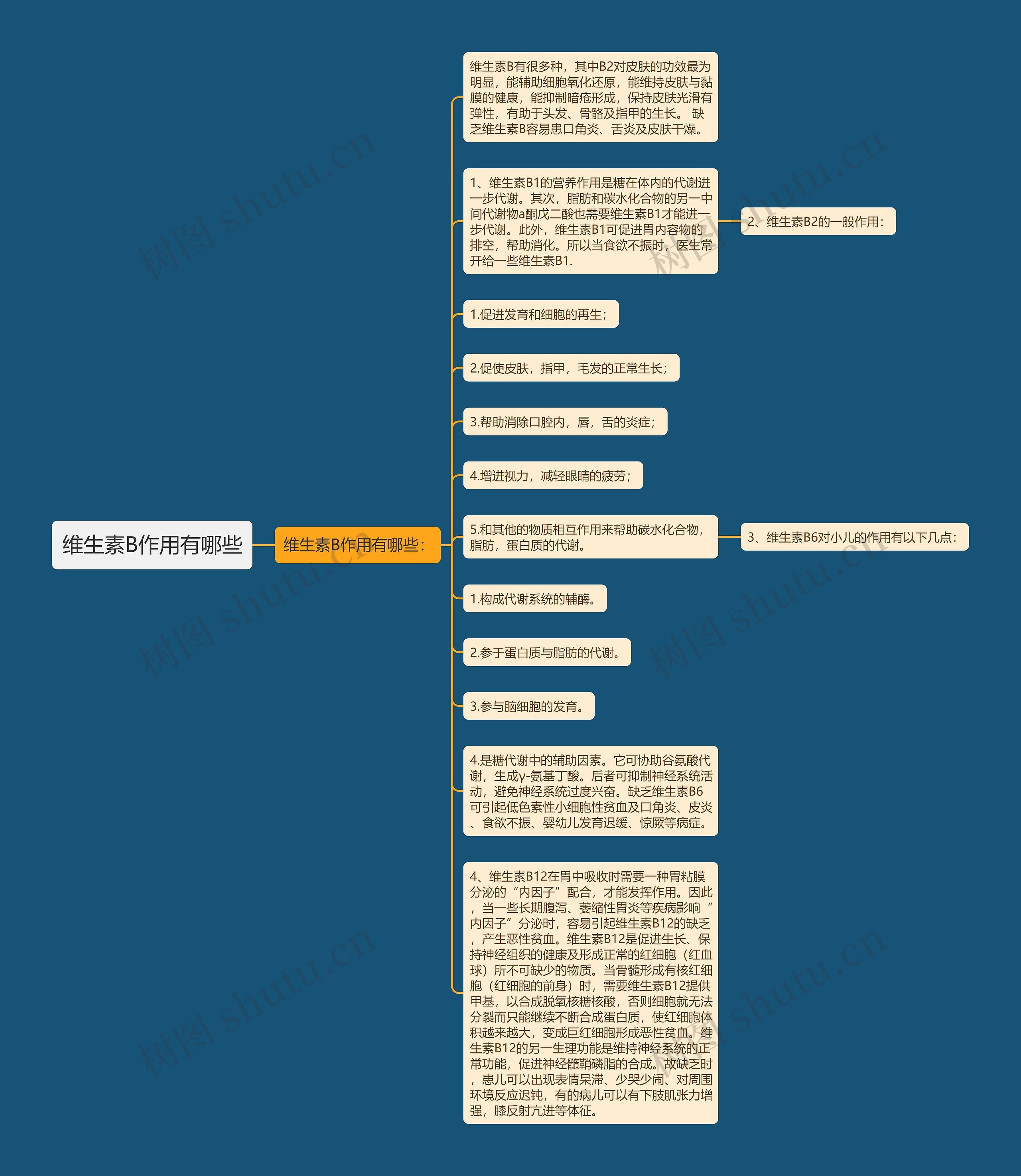维生素思维导图简单图片