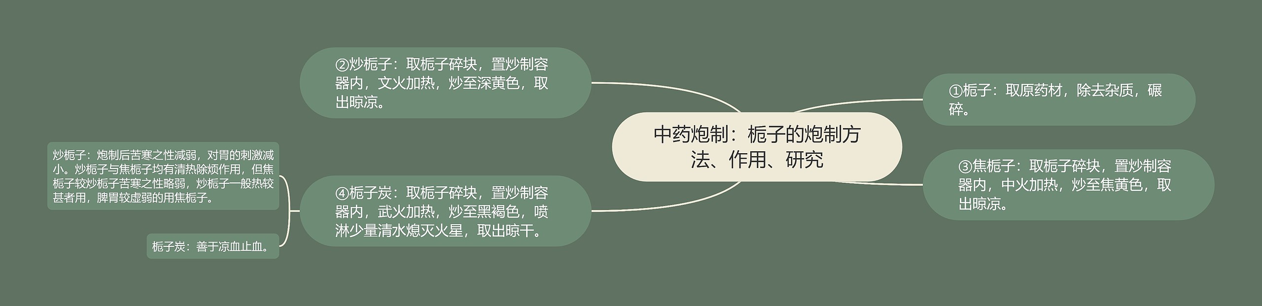 中药炮制：栀子的炮制方法、作用、研究思维导图