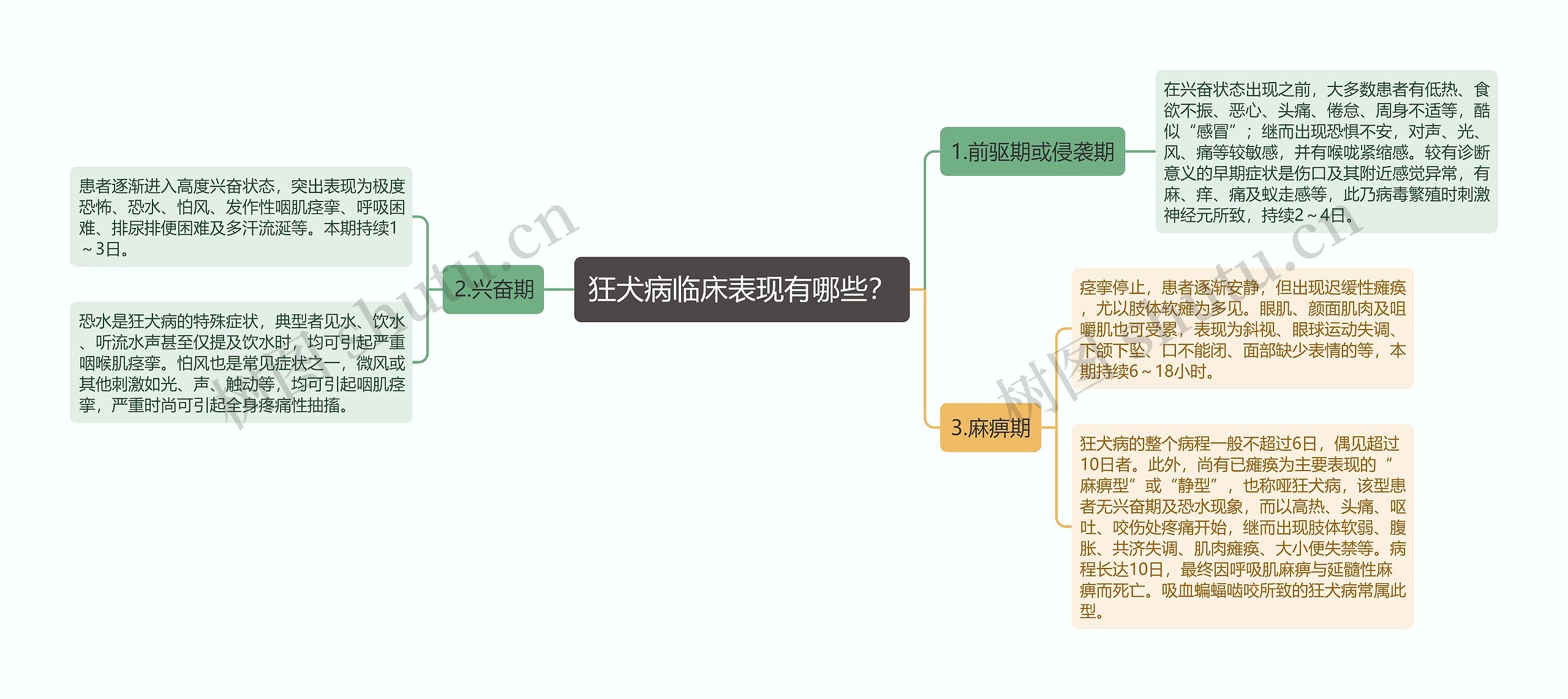 狂犬病临床表现有哪些？思维导图