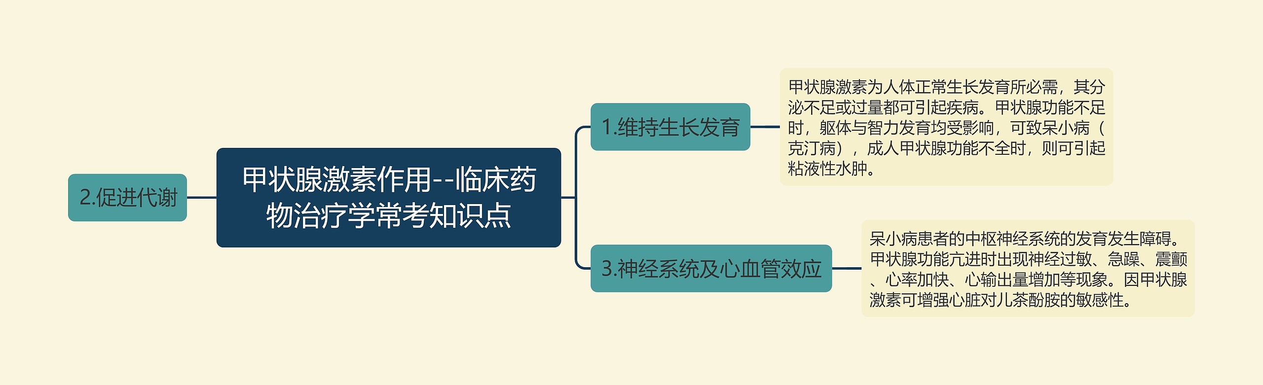 甲状腺激素作用--临床药物治疗学常考知识点思维导图