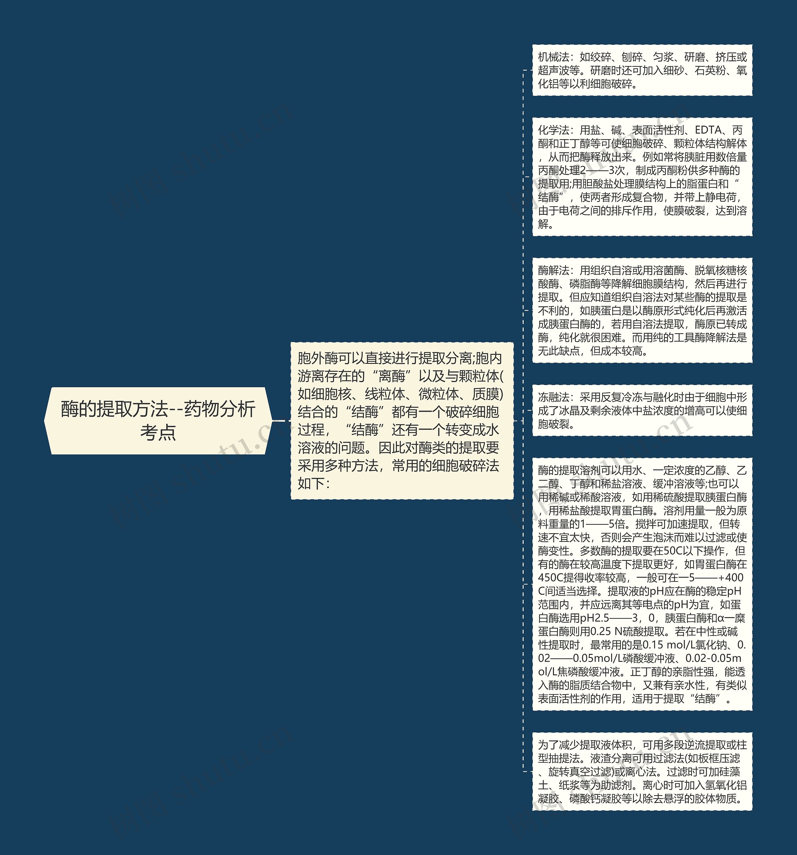 酶的提取方法--药物分析考点思维导图