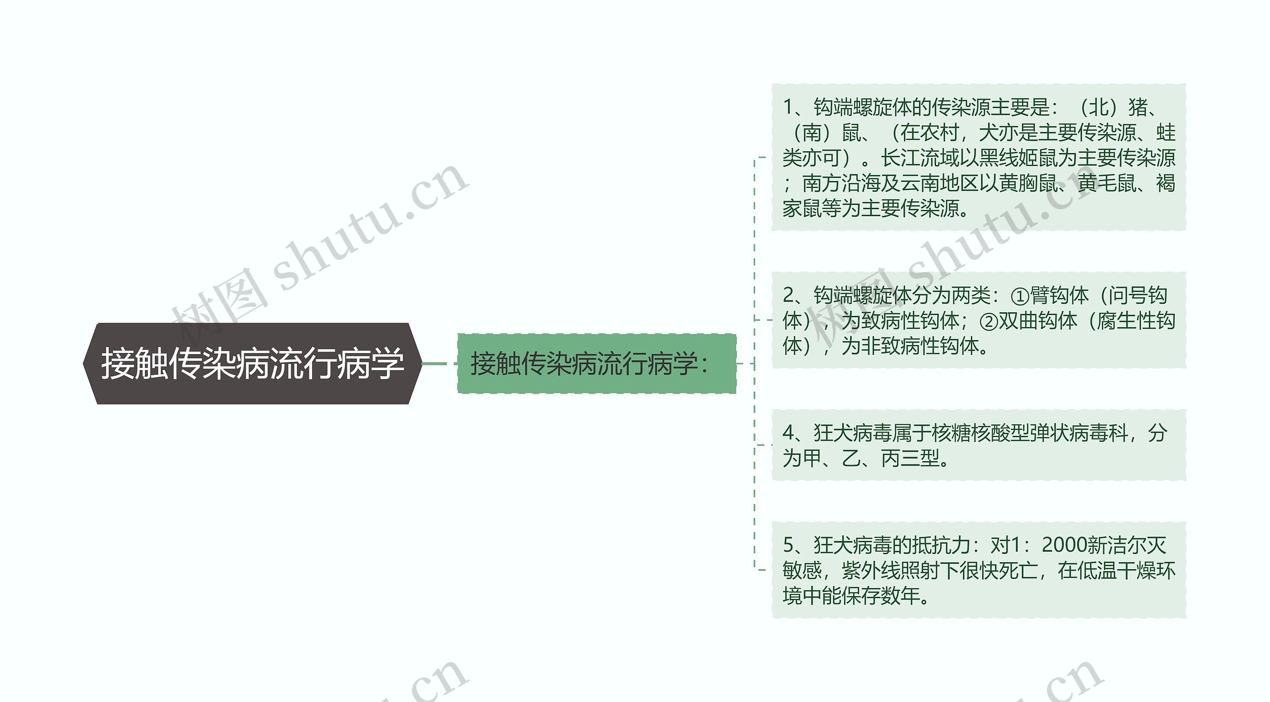 接触传染病流行病学思维导图