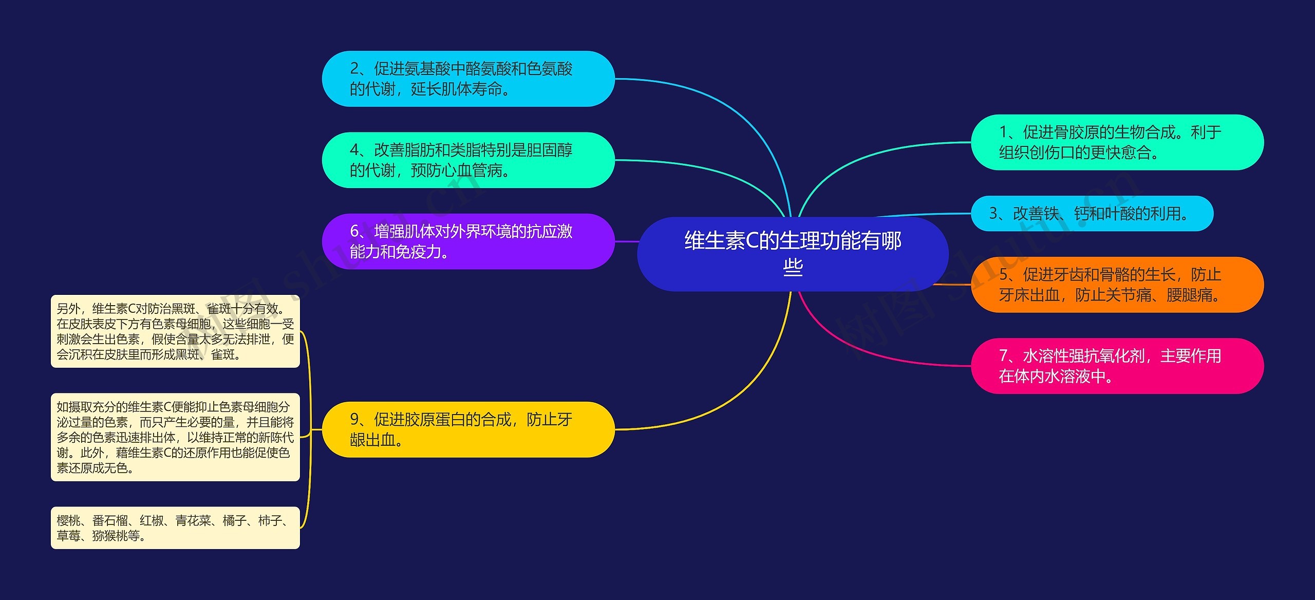 维生素C的生理功能有哪些思维导图