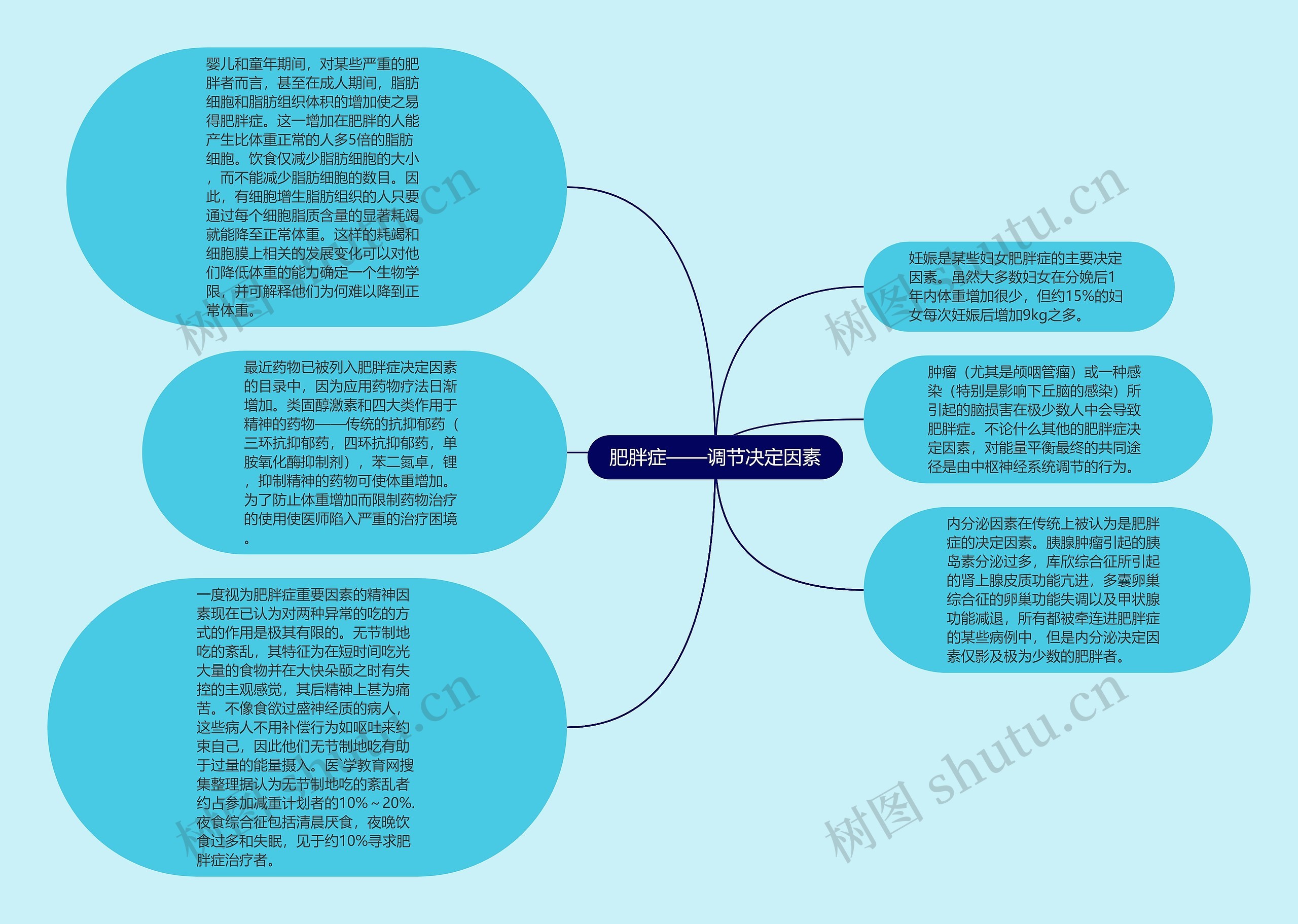 肥胖症——调节决定因素思维导图