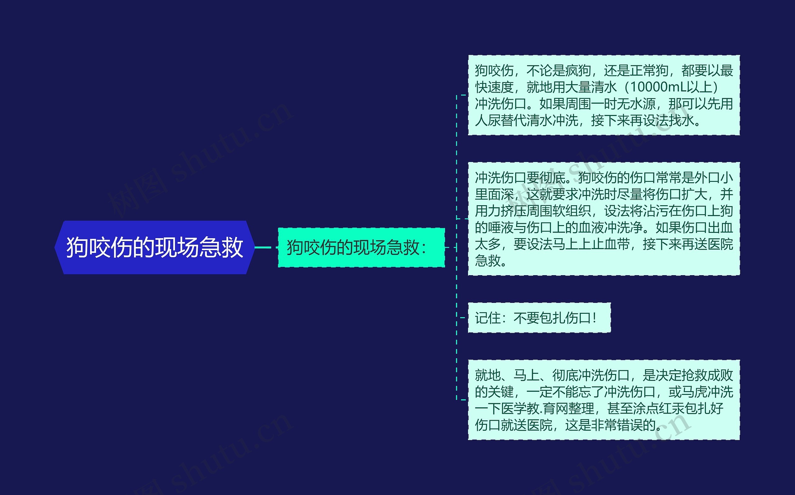 狗咬伤的现场急救