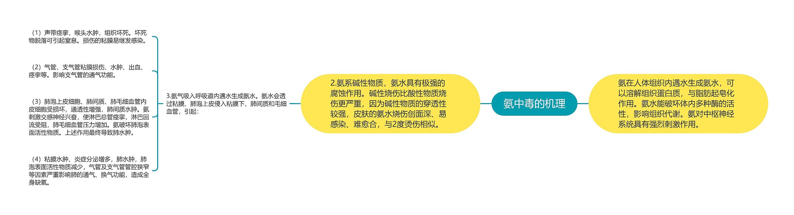 氨中毒的机理 氨中毒的机理