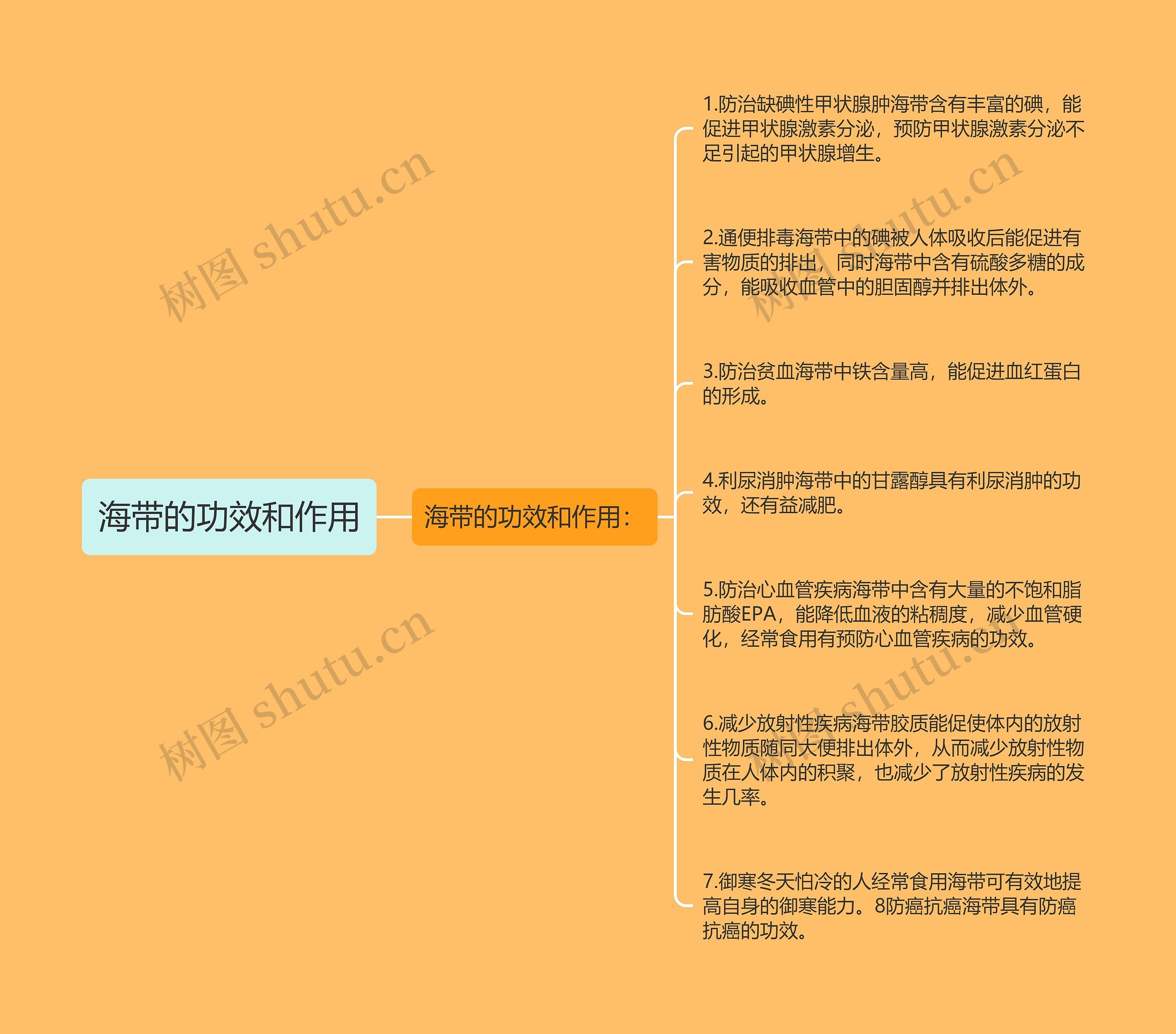 海带的功效和作用 海带的功效和作用