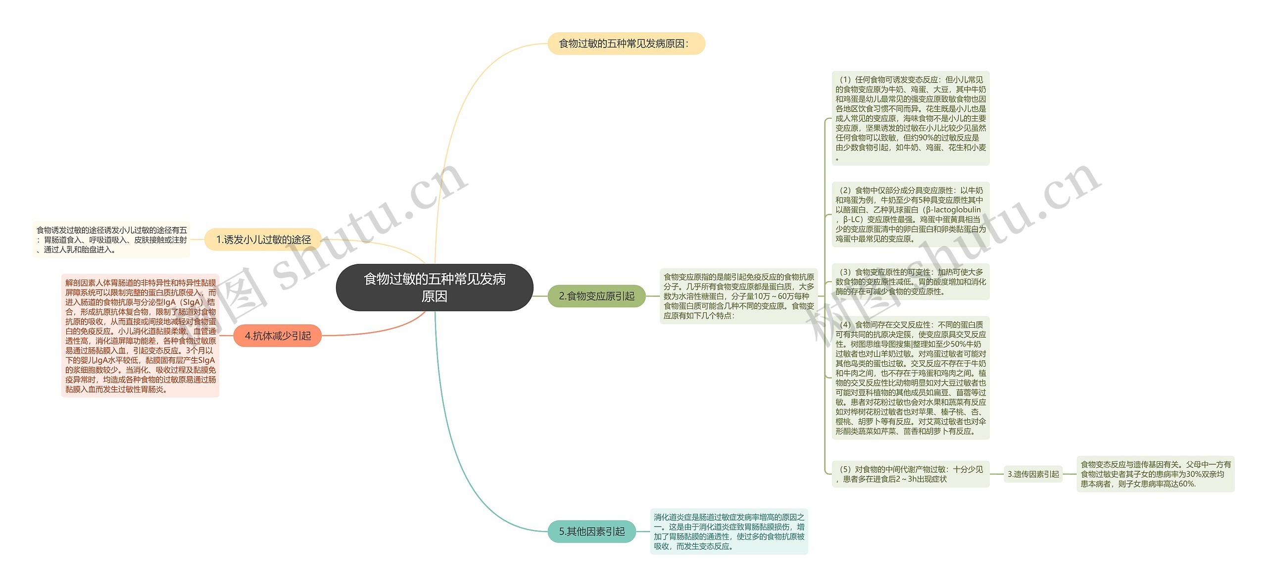 食物过敏的五种常见发病原因思维导图