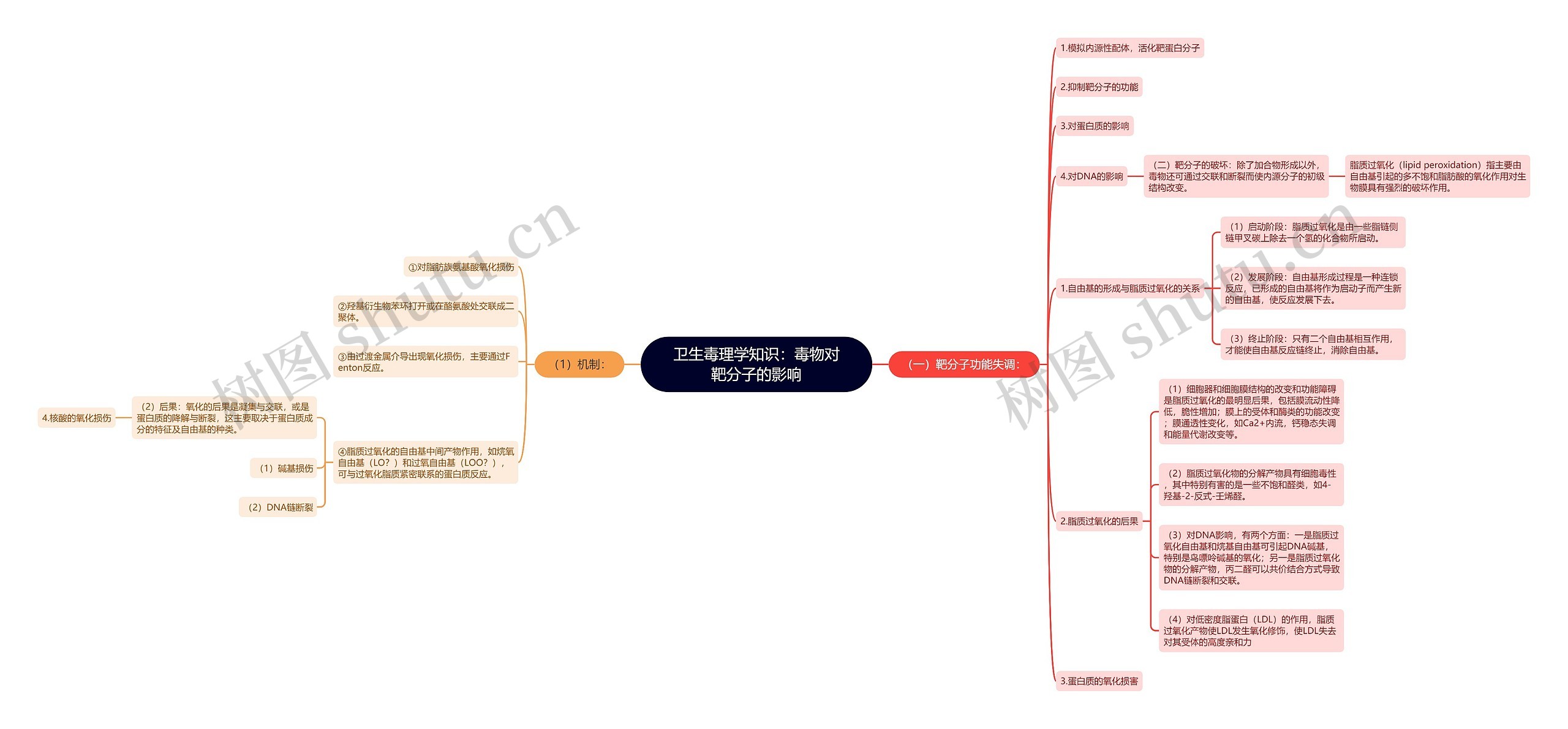 卫生毒理学知识：毒物对靶分子的影响思维导图