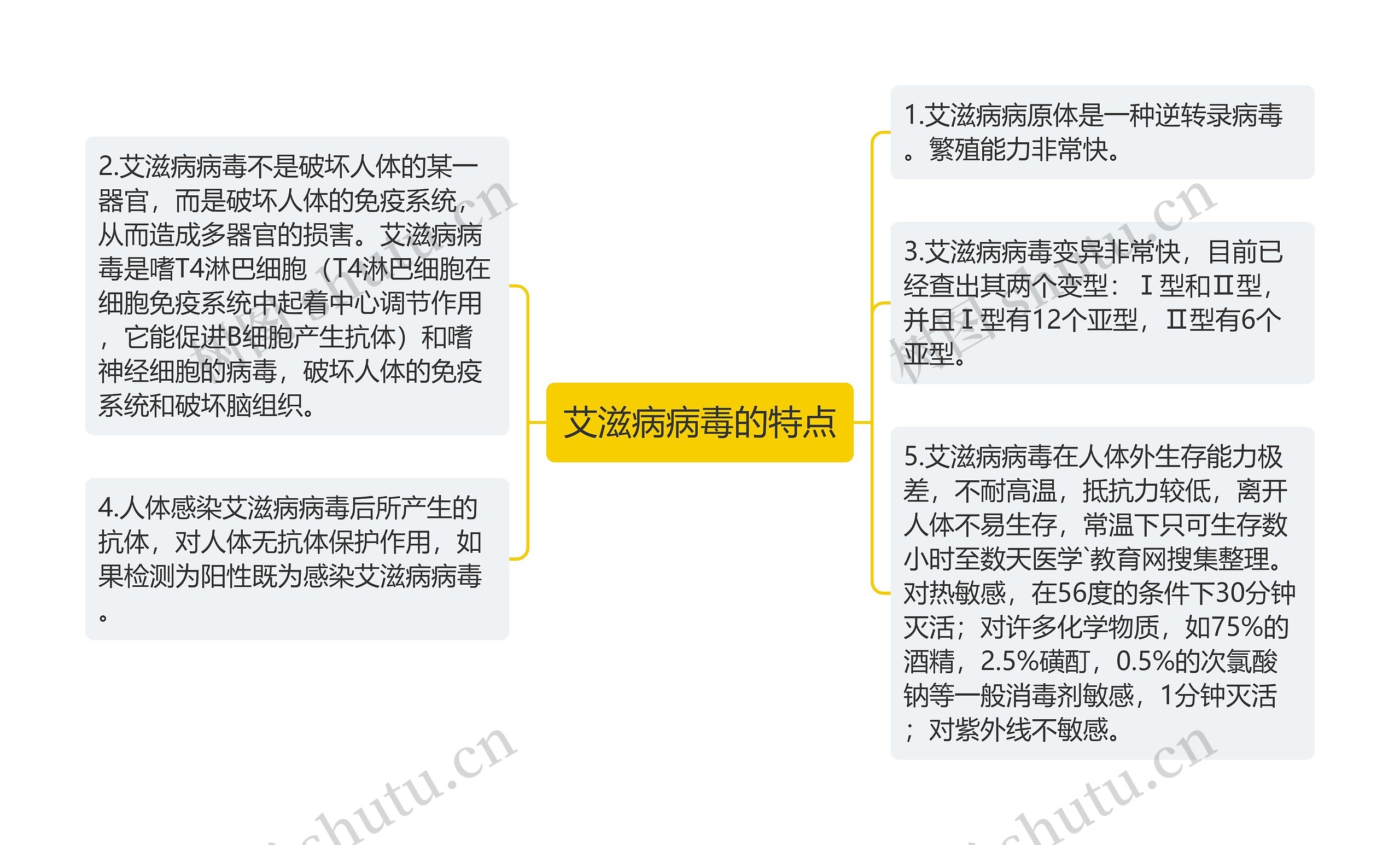 艾滋病病毒的特点