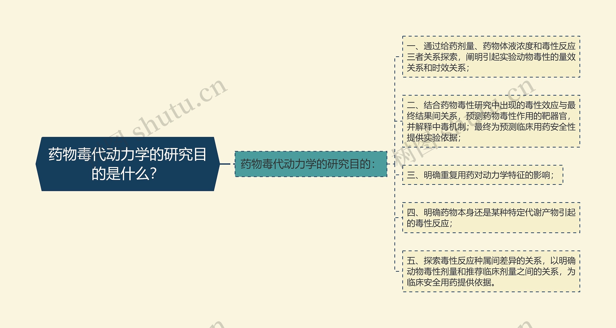 药物毒代动力学的研究目的是什么？