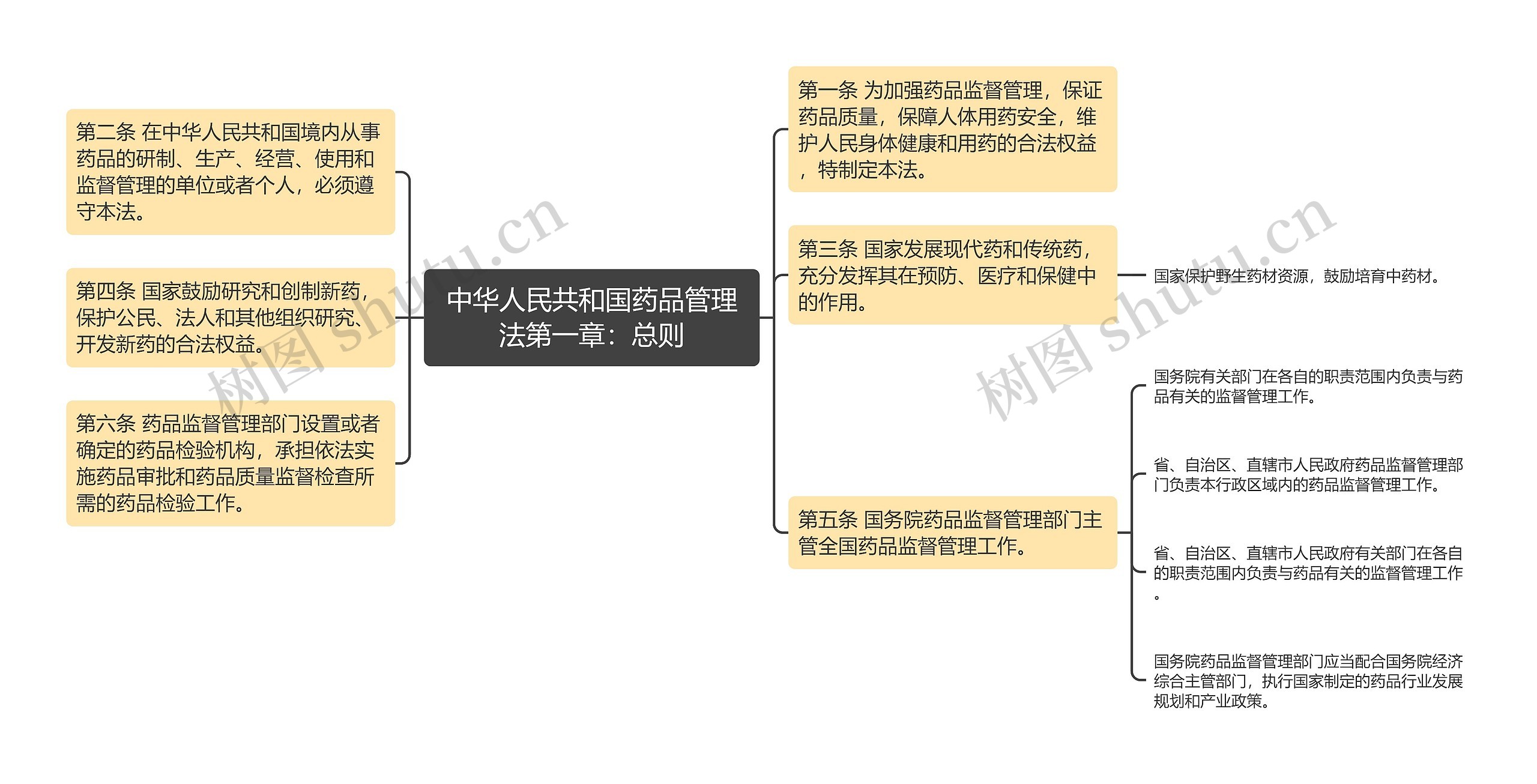 中华人民共和国药品管理法第一章：总则思维导图