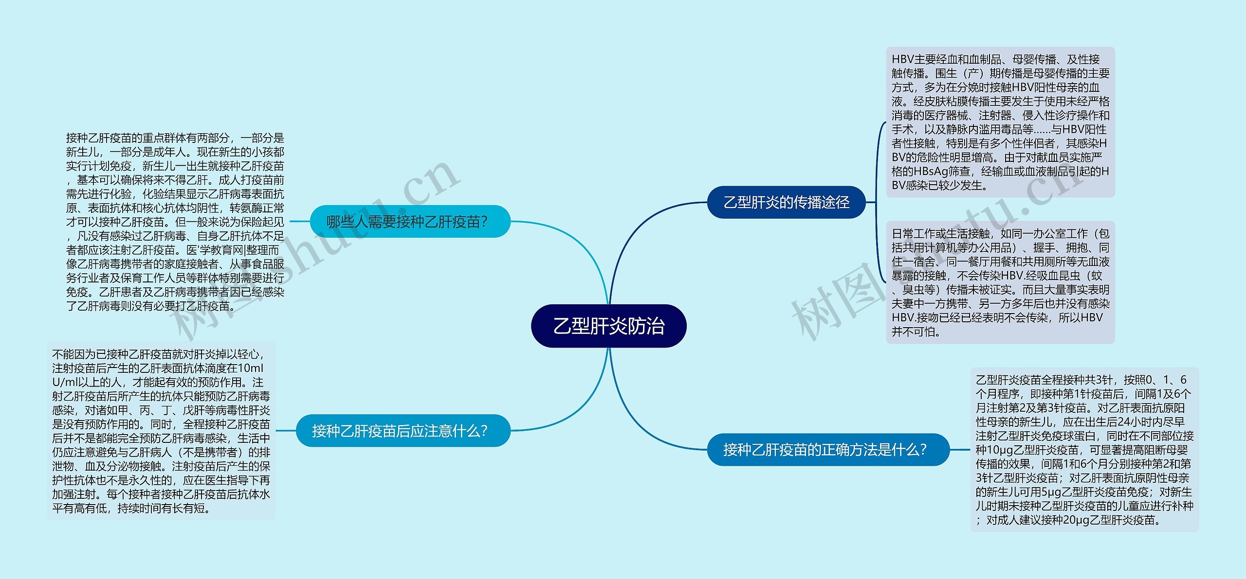 乙型肝炎防治思维导图