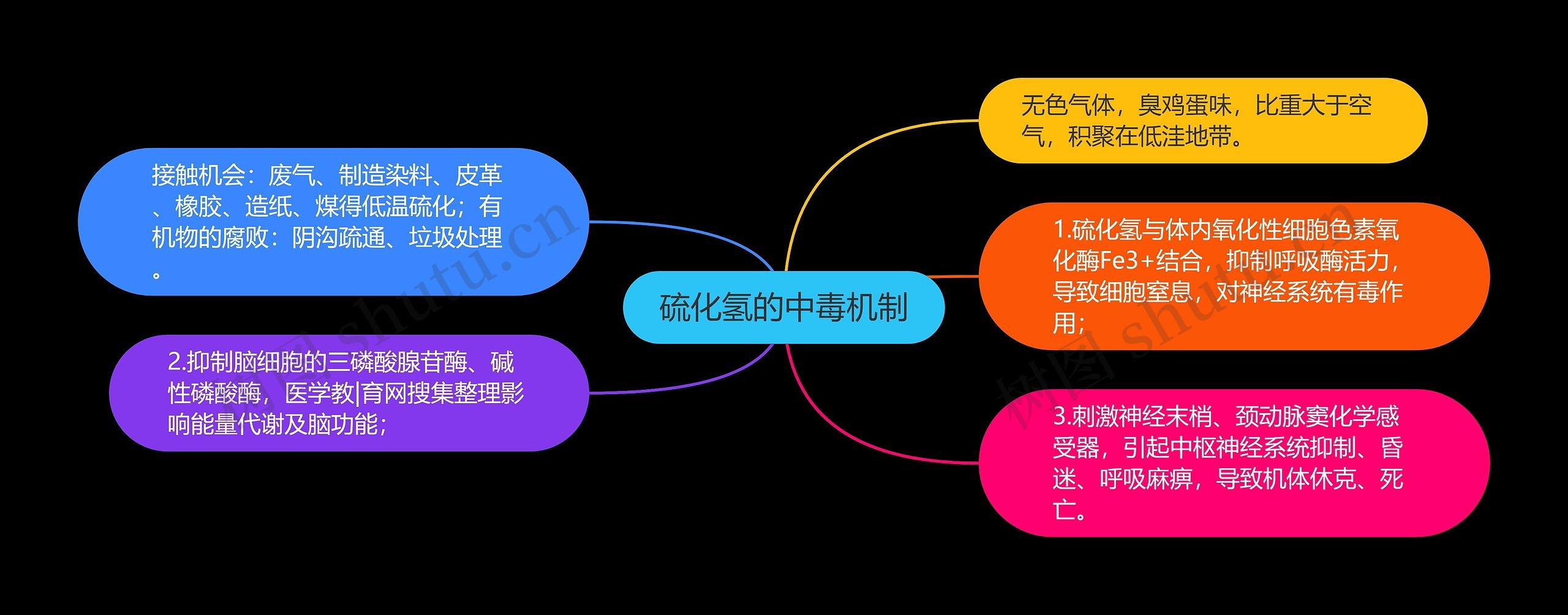 硫化氢的中毒机制思维导图