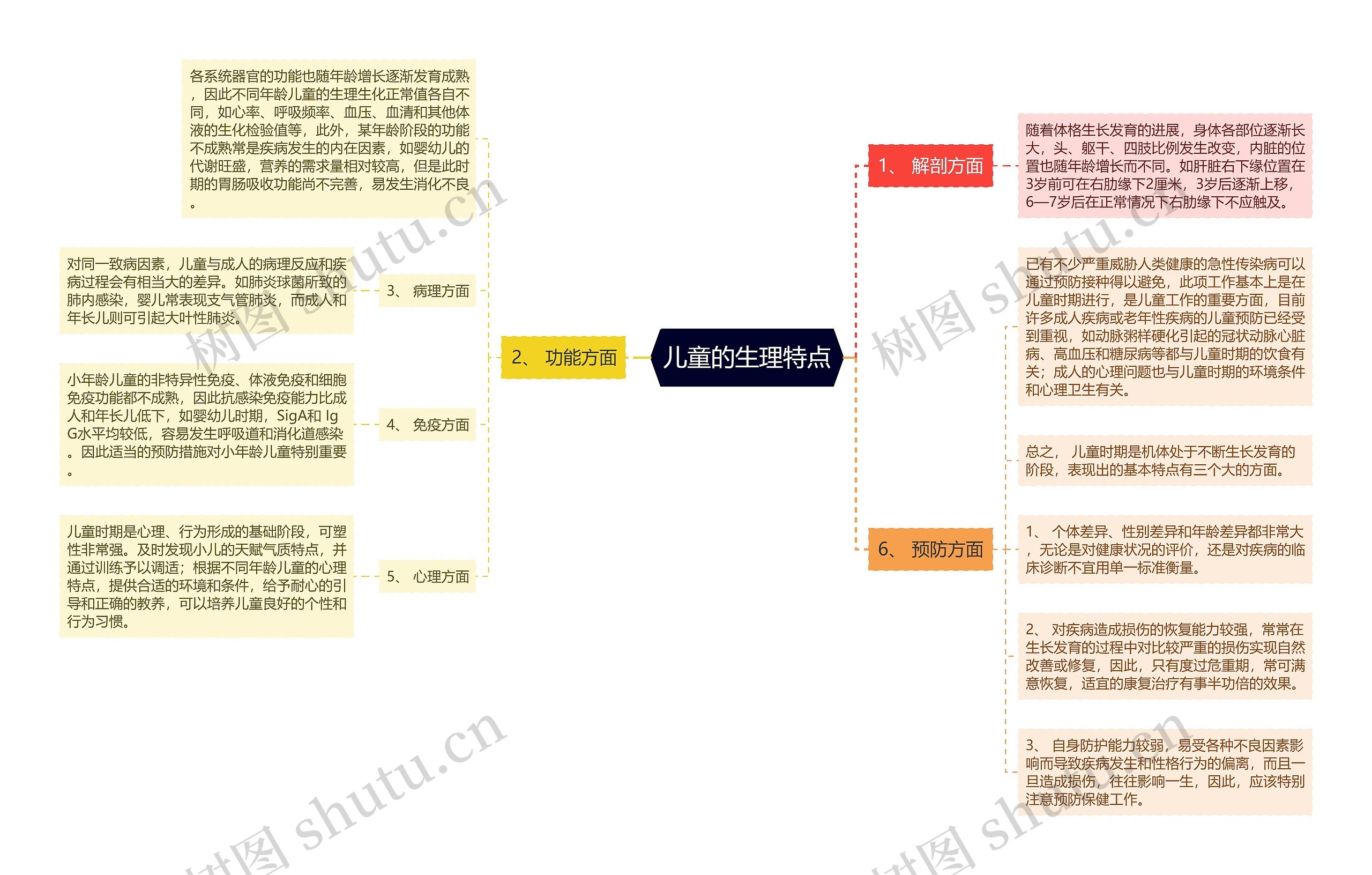 儿童的生理特点思维导图