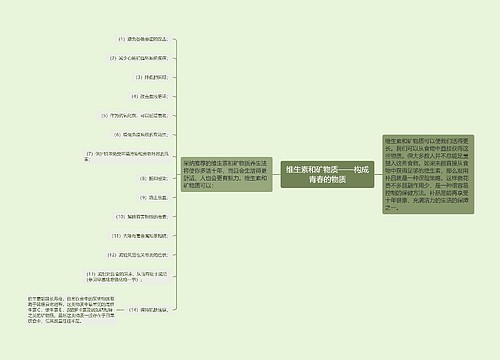 维生素和矿物质——构成青春的物质