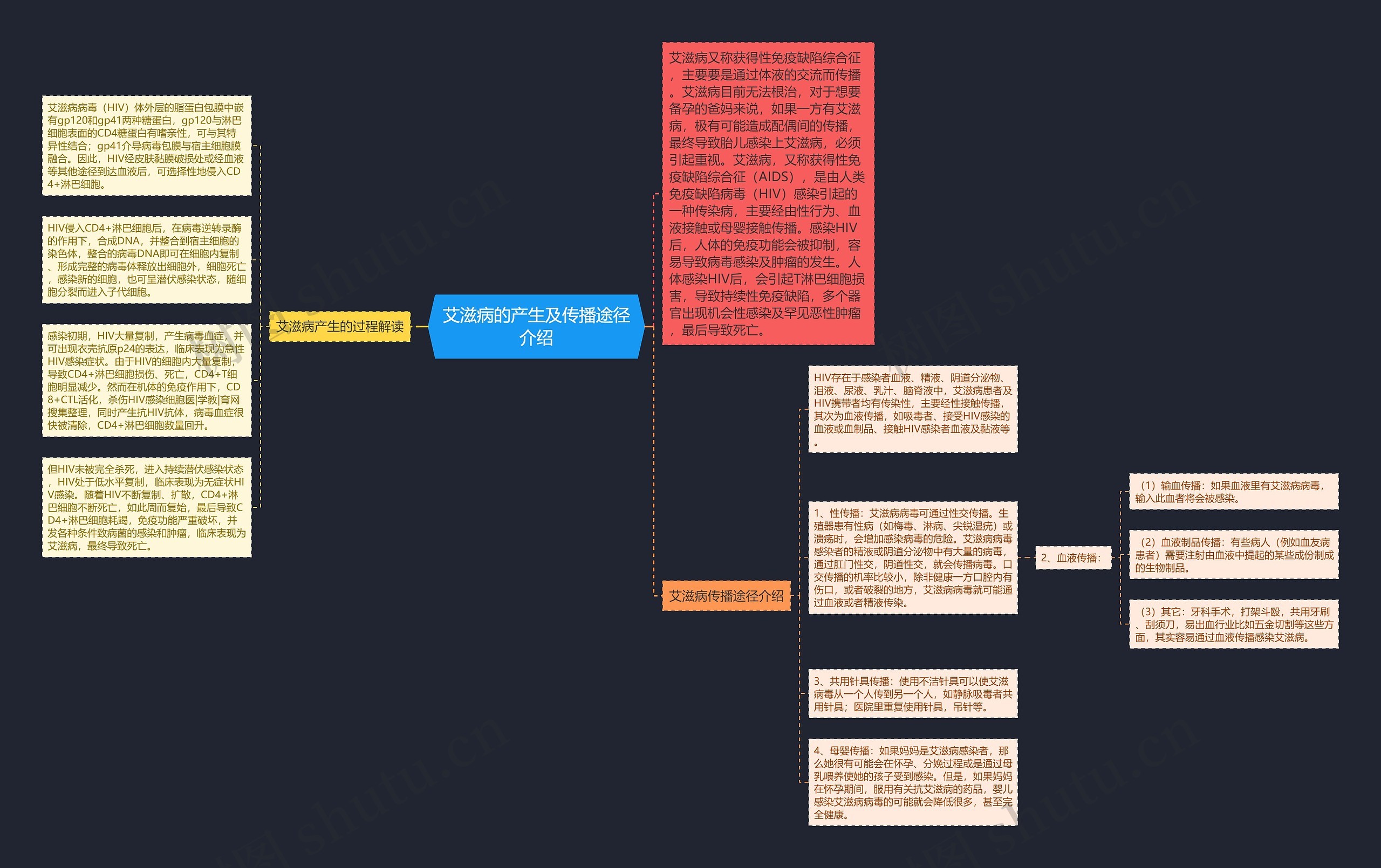 艾滋病的产生及传播途径介绍思维导图