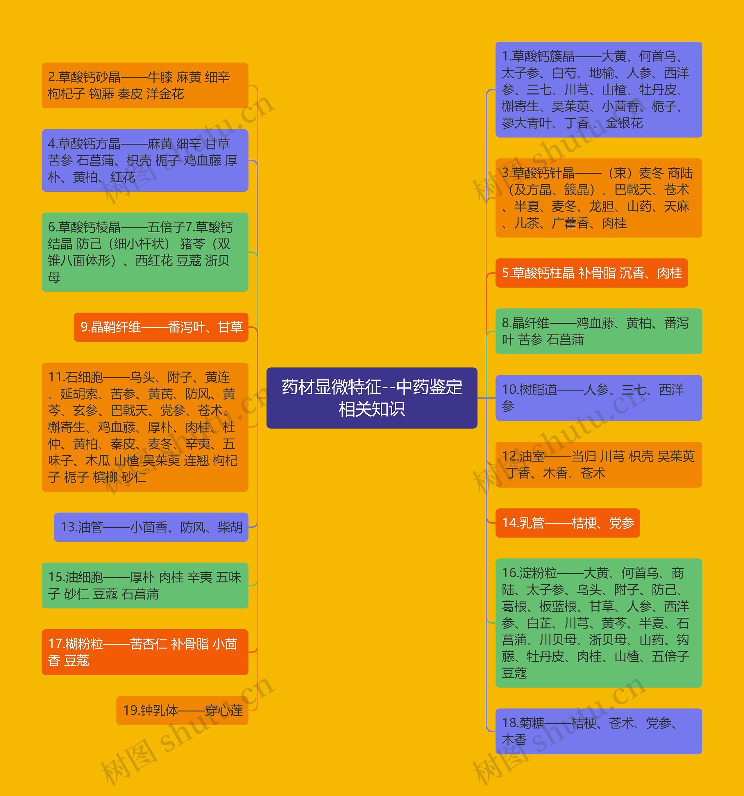 药材显微特征--中药鉴定相关知识思维导图