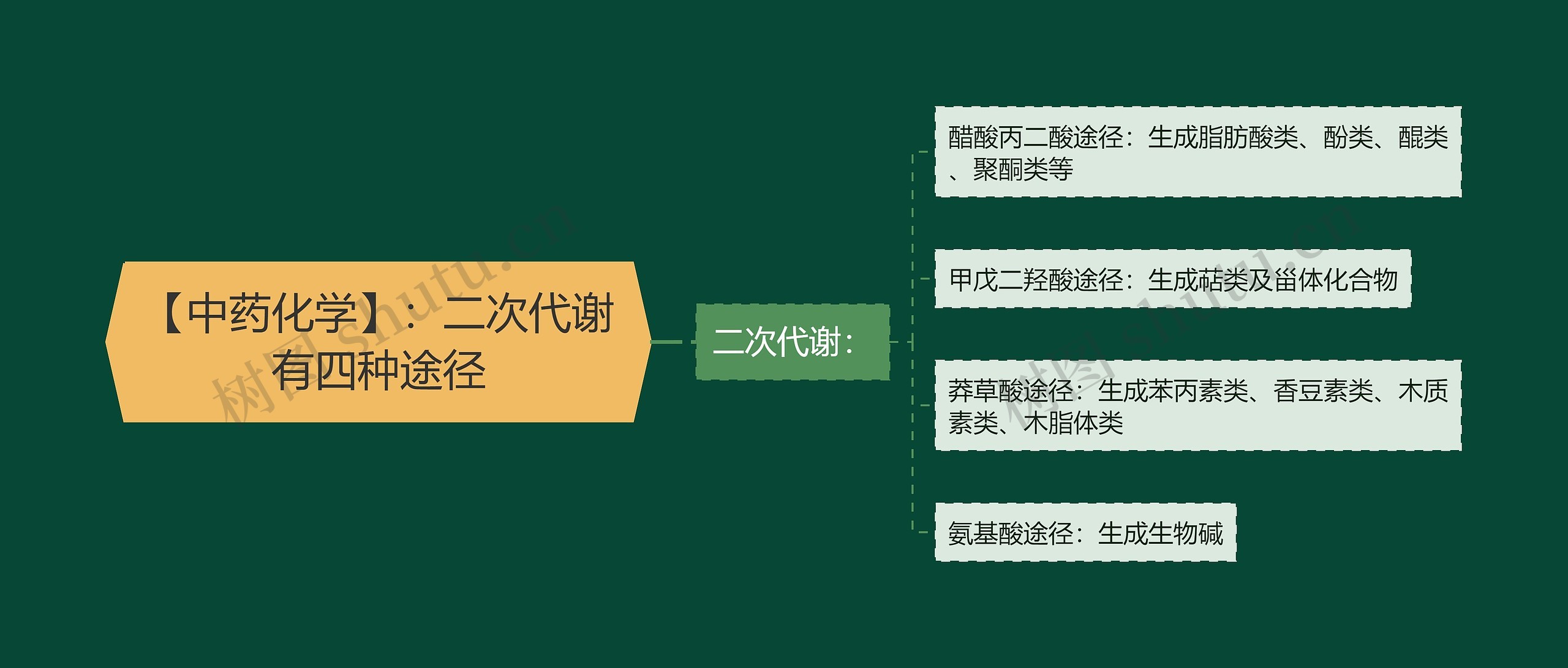 【中药化学】：二次代谢有四种途径