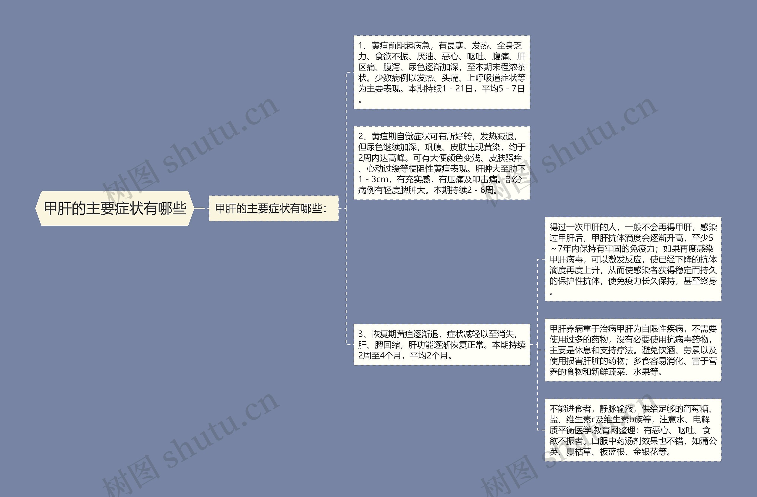 甲肝的主要症状有哪些思维导图