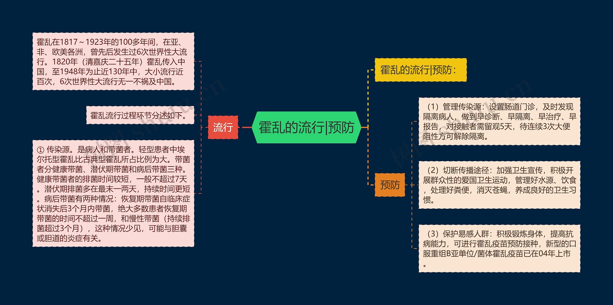 霍乱的流行|预防思维导图