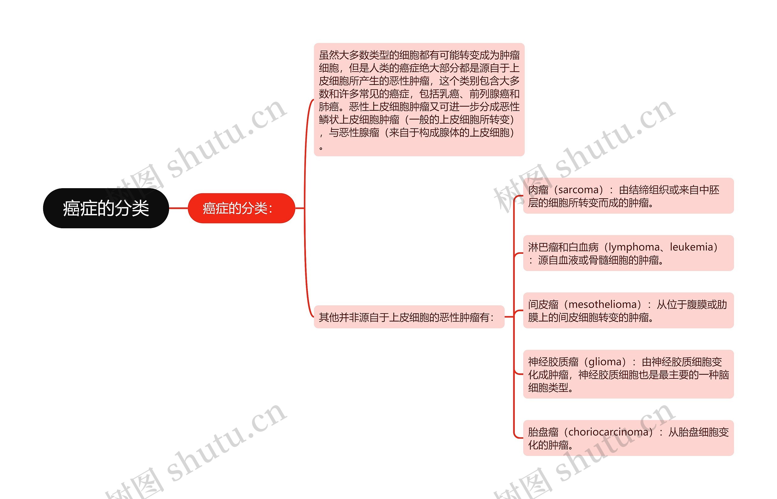 癌症的分类思维导图