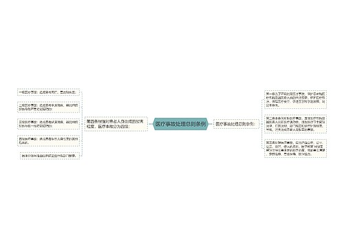 医疗事故处理总则条例