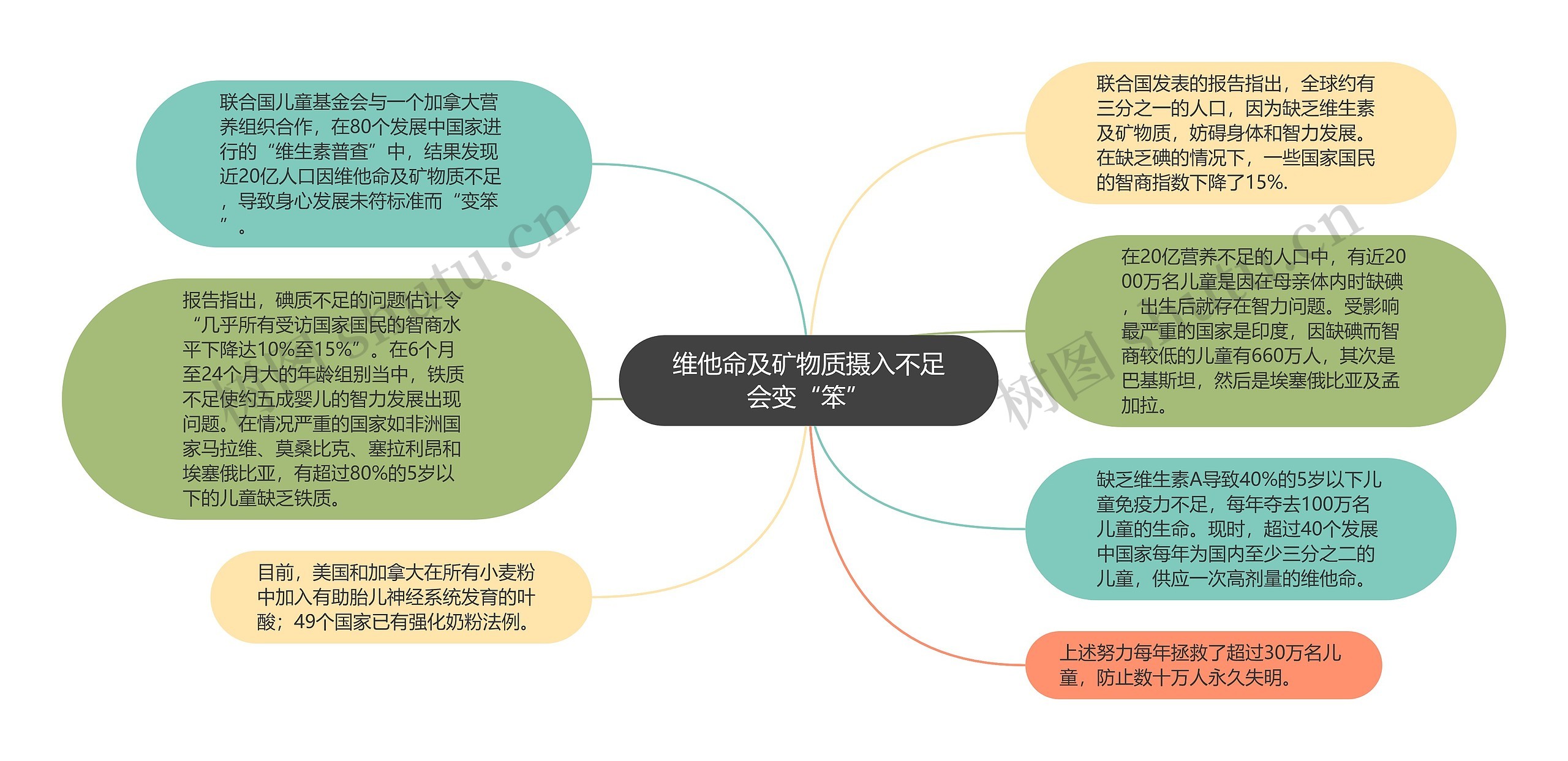 维他命及矿物质摄入不足会变“笨”