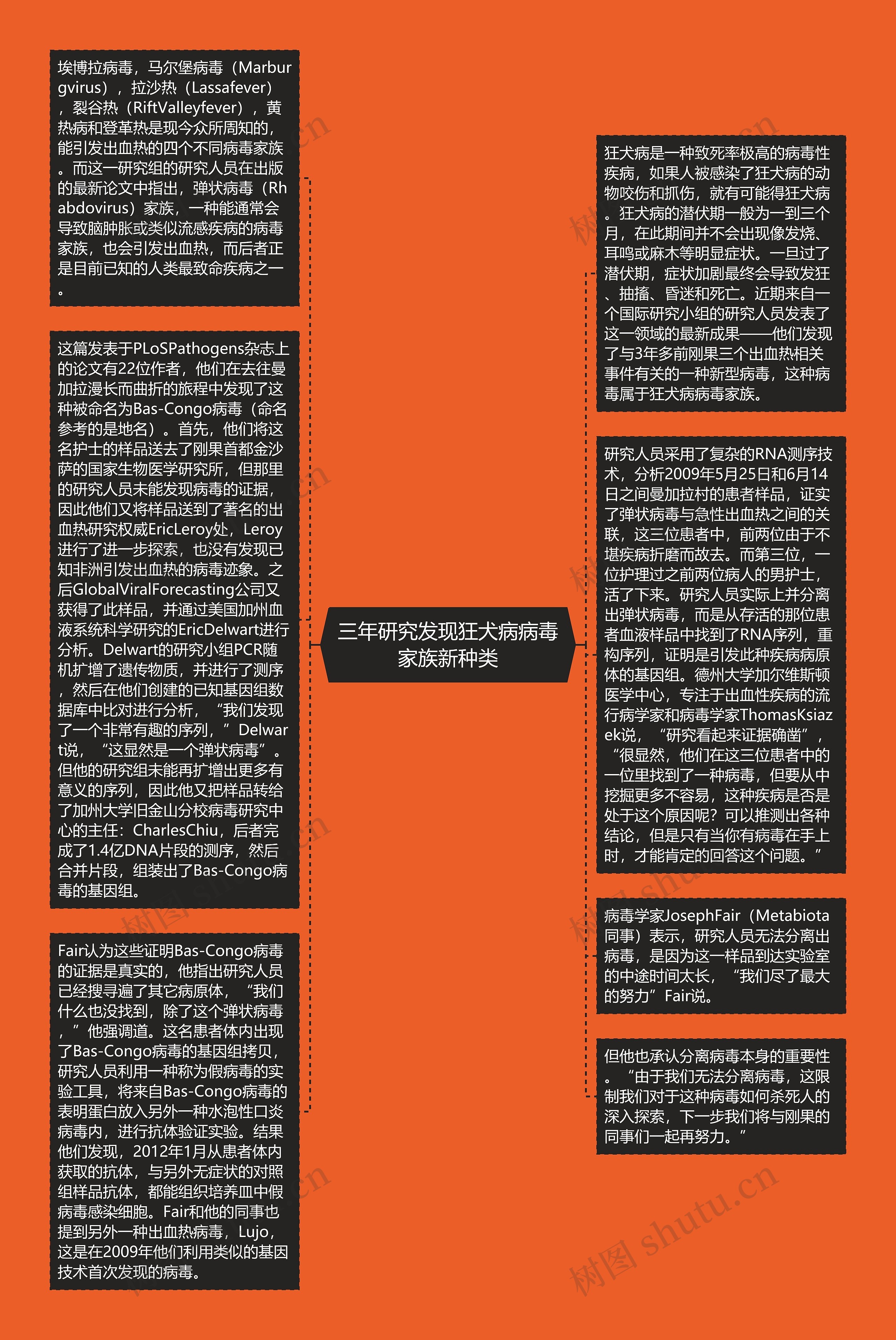 三年研究发现狂犬病病毒家族新种类