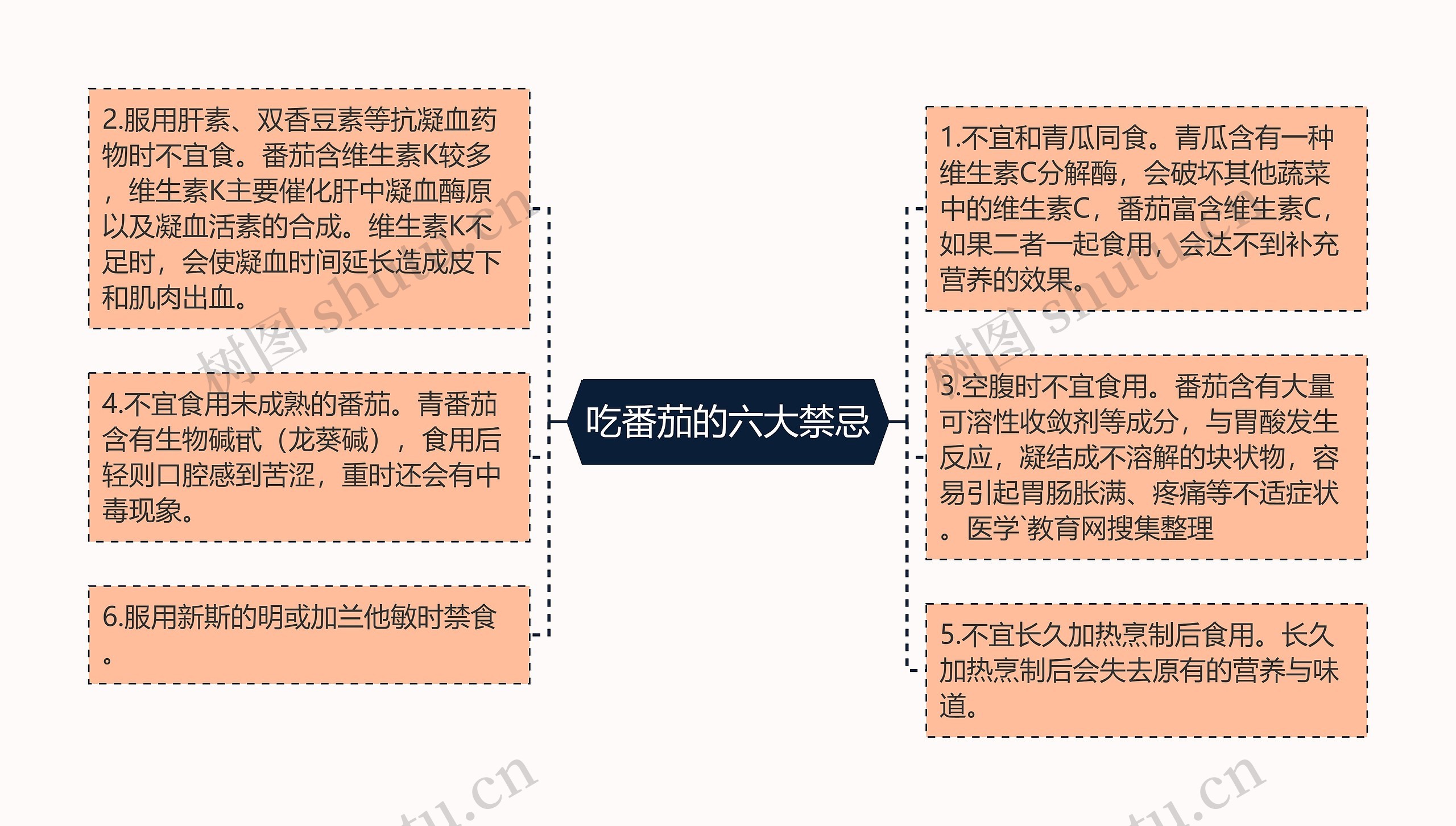 吃番茄的六大禁忌思维导图