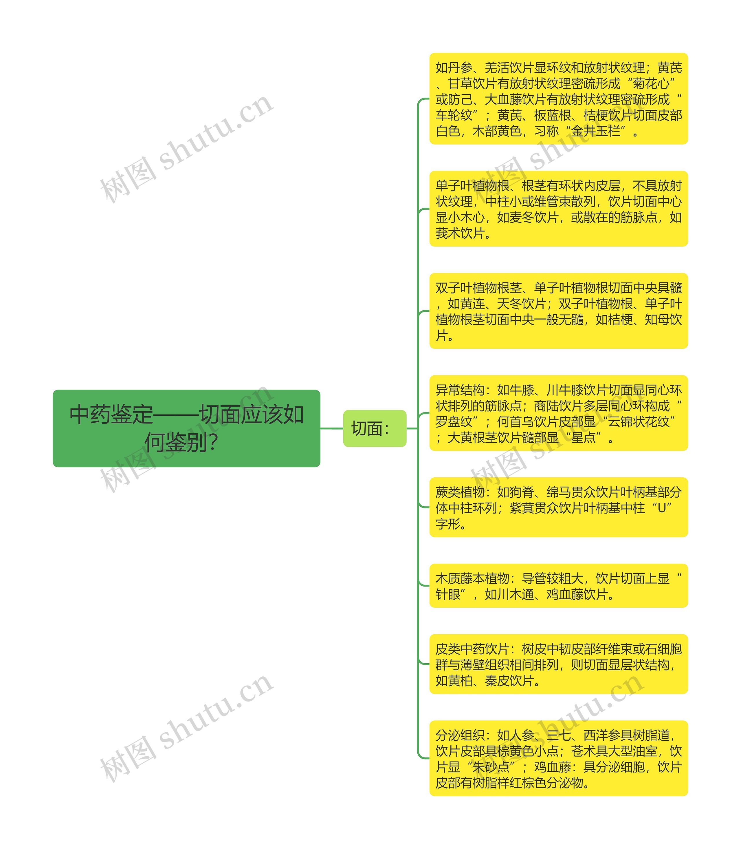 中药鉴定——切面应该如何鉴别？思维导图