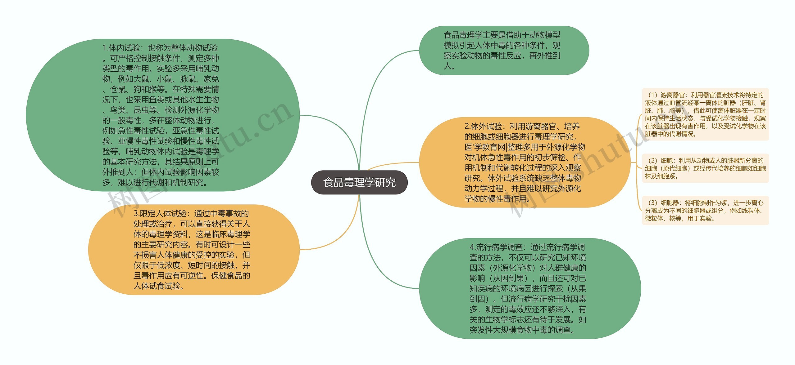 食品毒理学研究思维导图