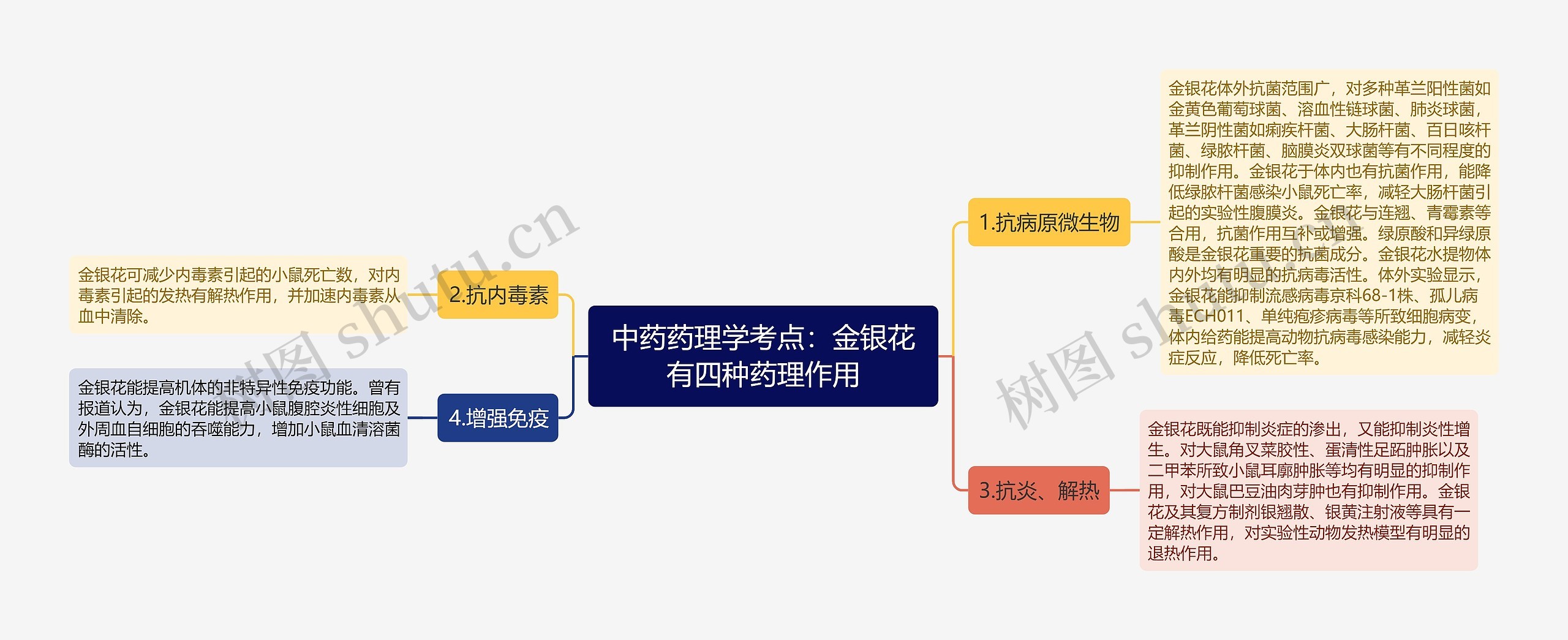 中药药理学考点：金银花有四种药理作用